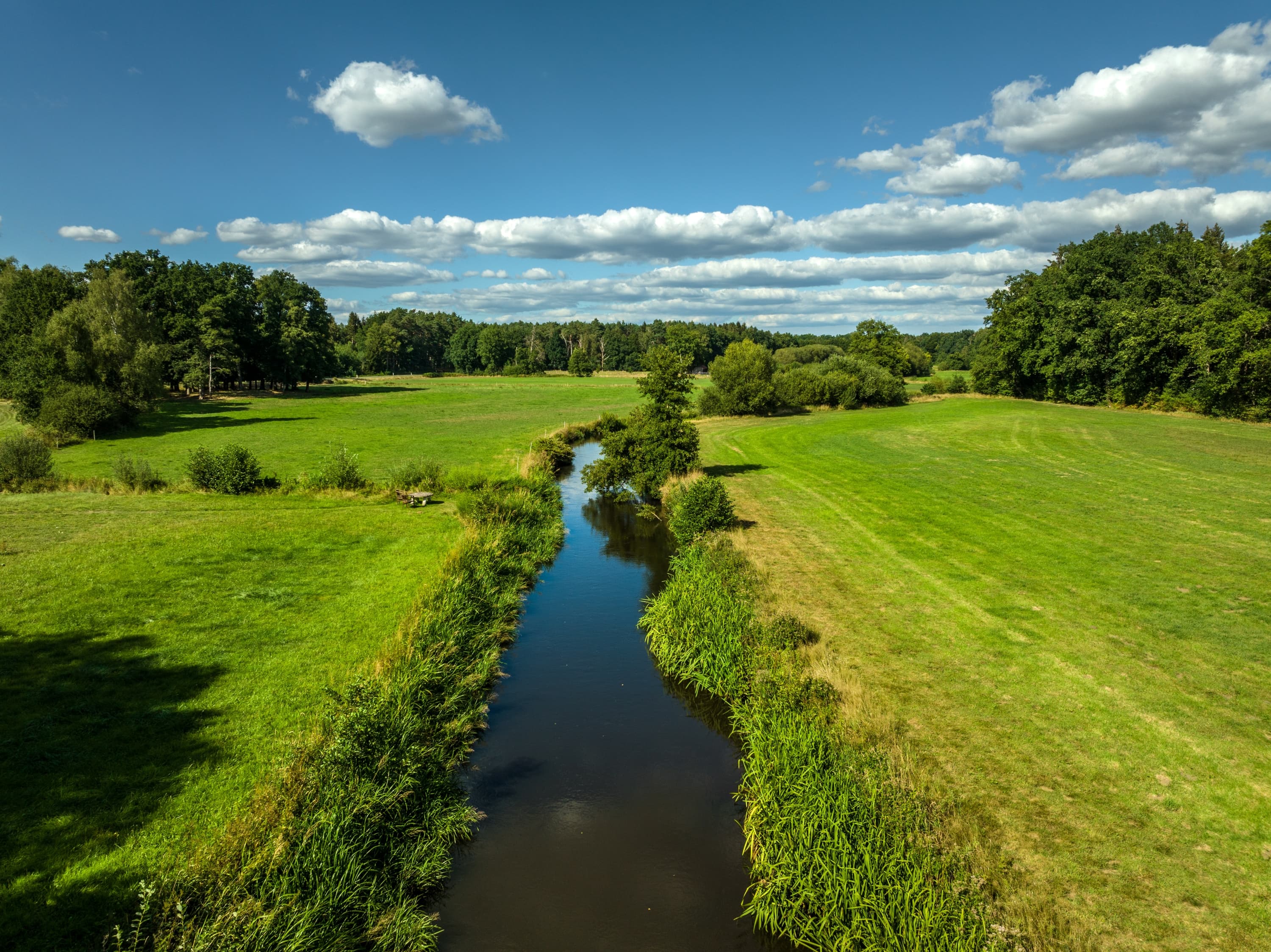 Der Heidefluss Örtze im Frühling