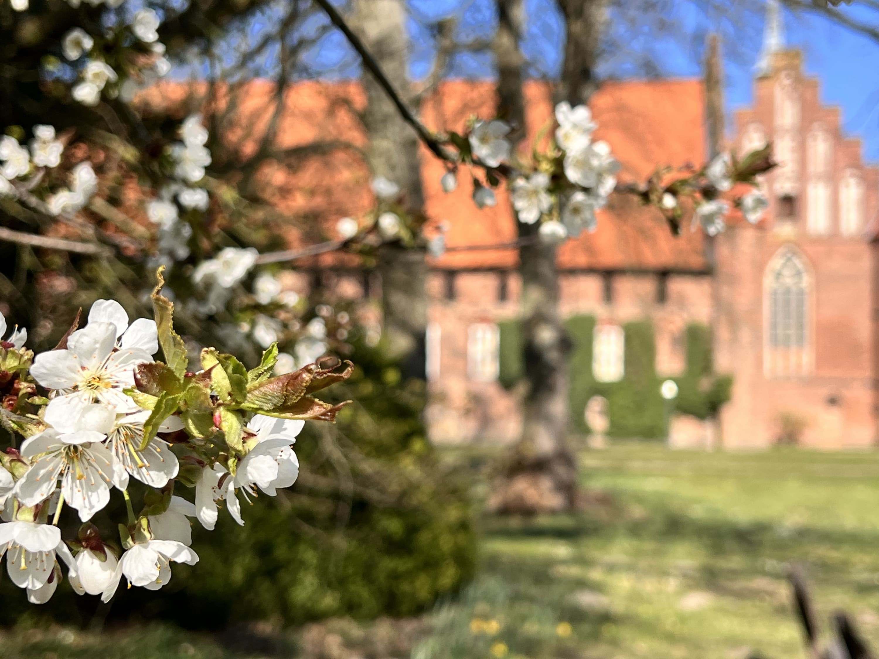 Frühling in Wienhausen