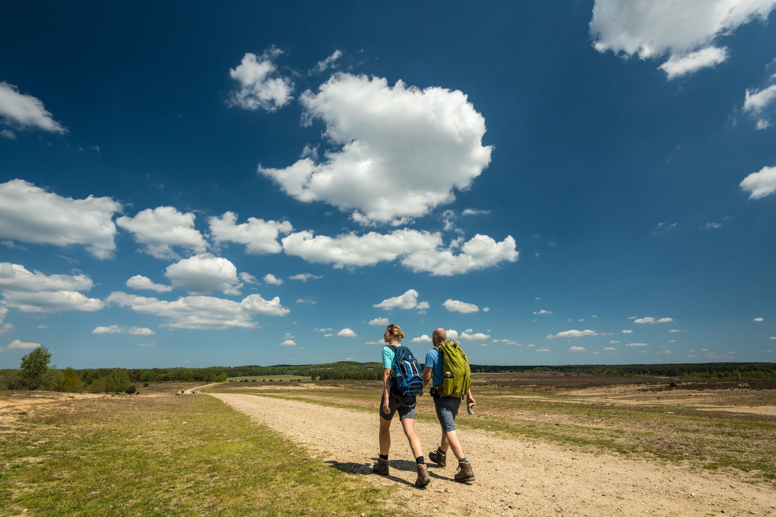 Wandern rund um den Tütsberg in Schneverdingen