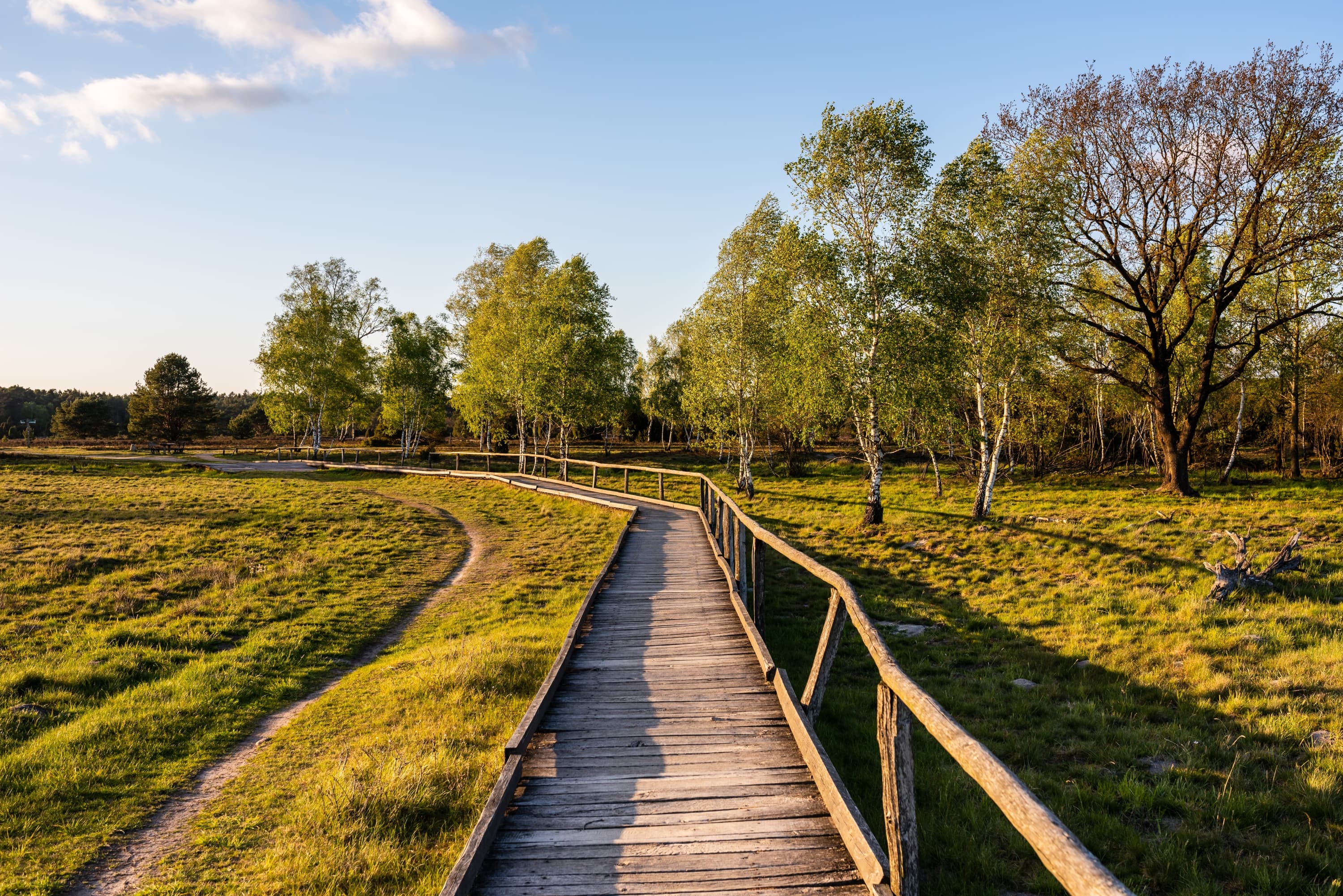 Wandern auf der Heideschleife um die Haverbeeke