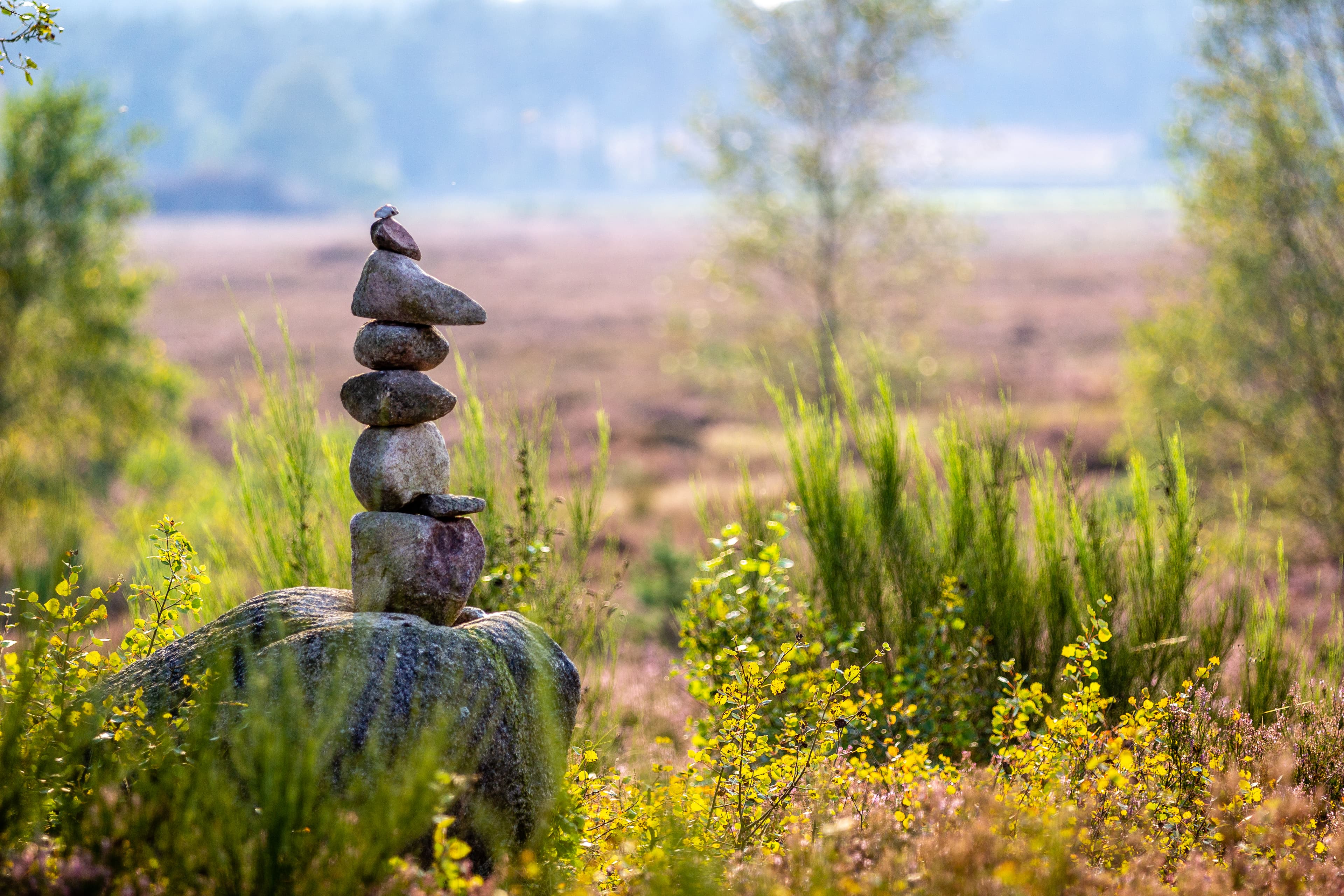 Aufgeschichtete Steine zwischen Gräsern und Heidekraut in der Behringer Heide.