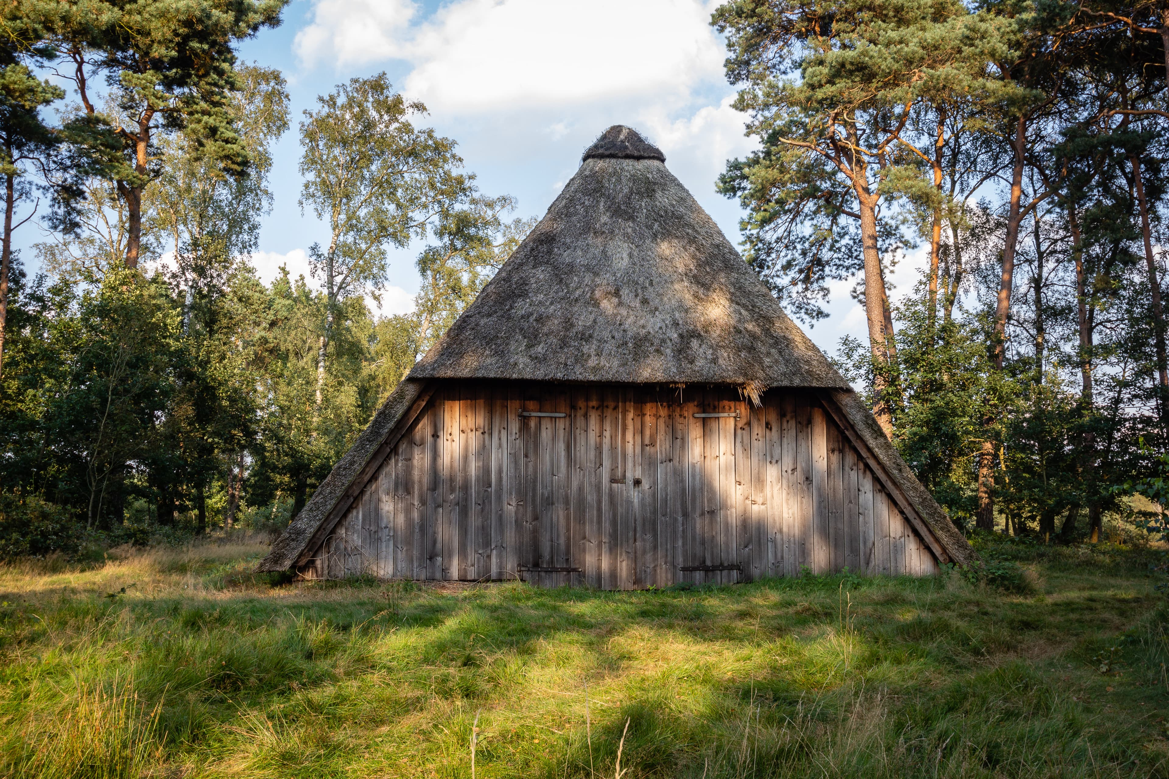 Reetgedeckte Holzscheune zwischen Kiefern und Birken in der Behringer Heide.