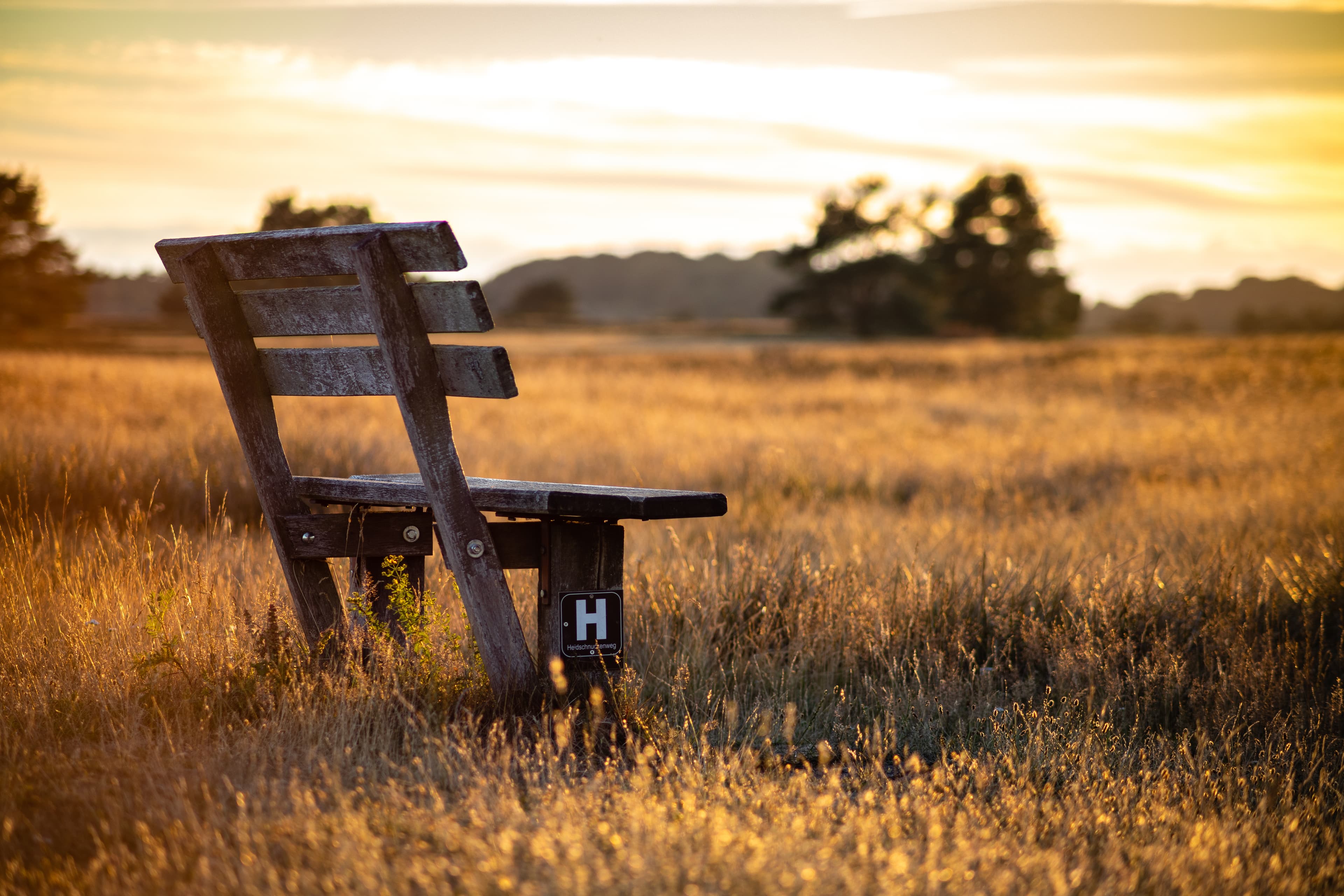 Die Behringer Heide während des Sonnenuntergangs