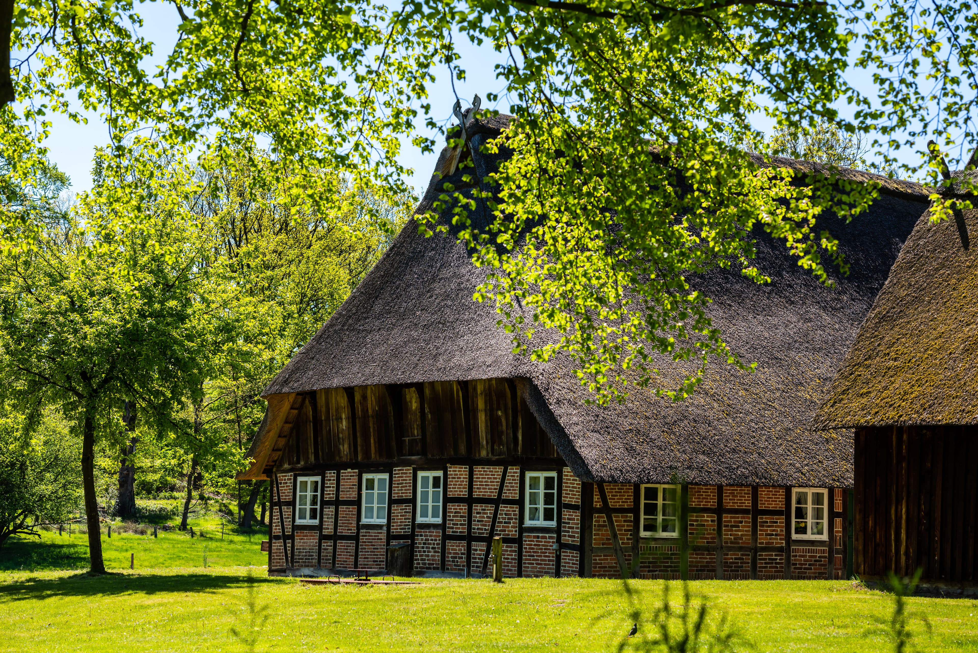 2019-05-13-Heidschnuckenweg-Fruehling-Tiemann-CC0-0072.jpg