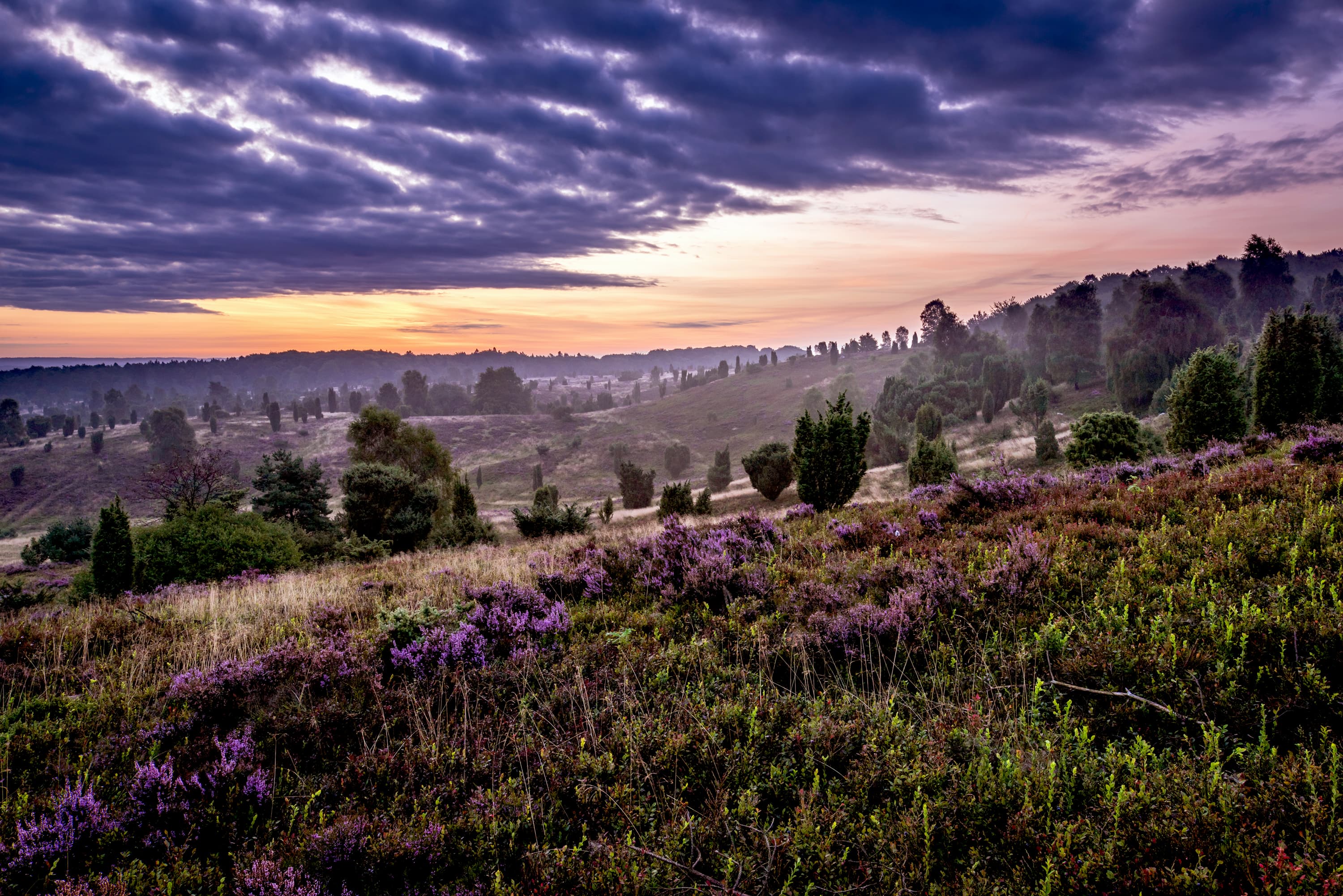 Lueneburger-Heide-Wilseder-Berg-Sonnenuntergang-Wolken.jpg