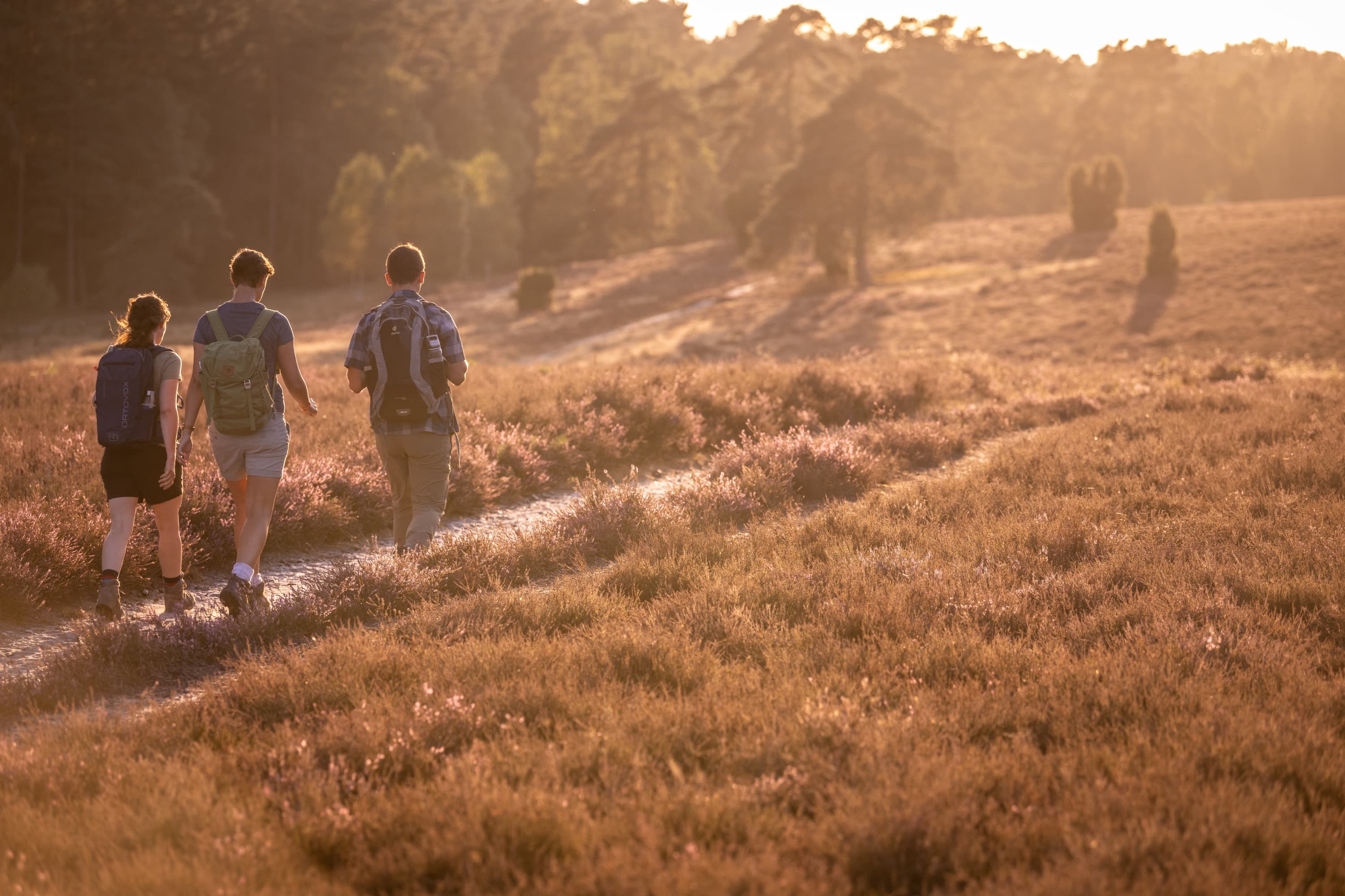 gemeinsames Wandern in den Sonnenuntergang