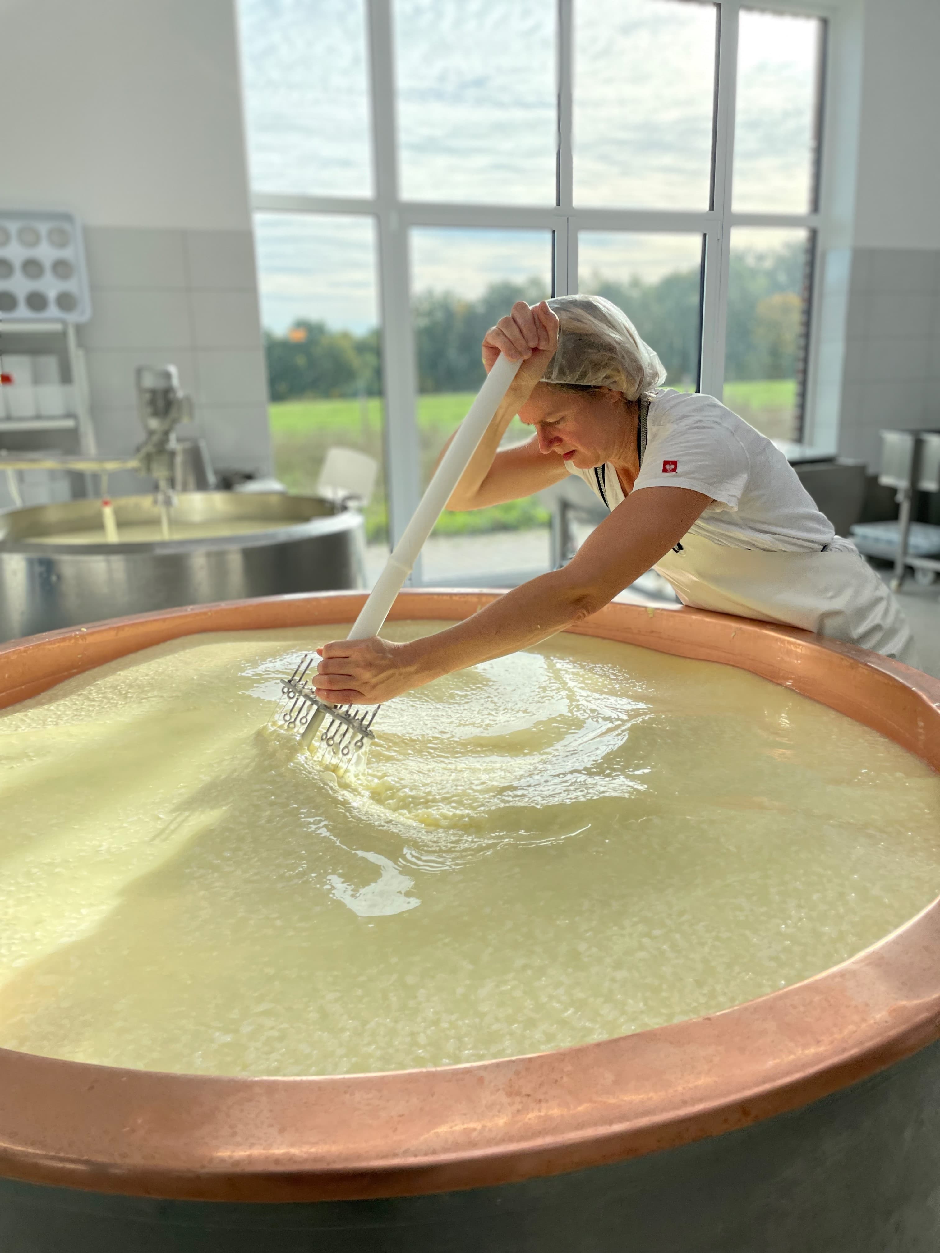 Eine Käserin in weißer Arbeitskleidung rührt konzentriert in einem großen Kupferkessel mit Milch im Sonnenlicht der Fenster im Hintergrund.