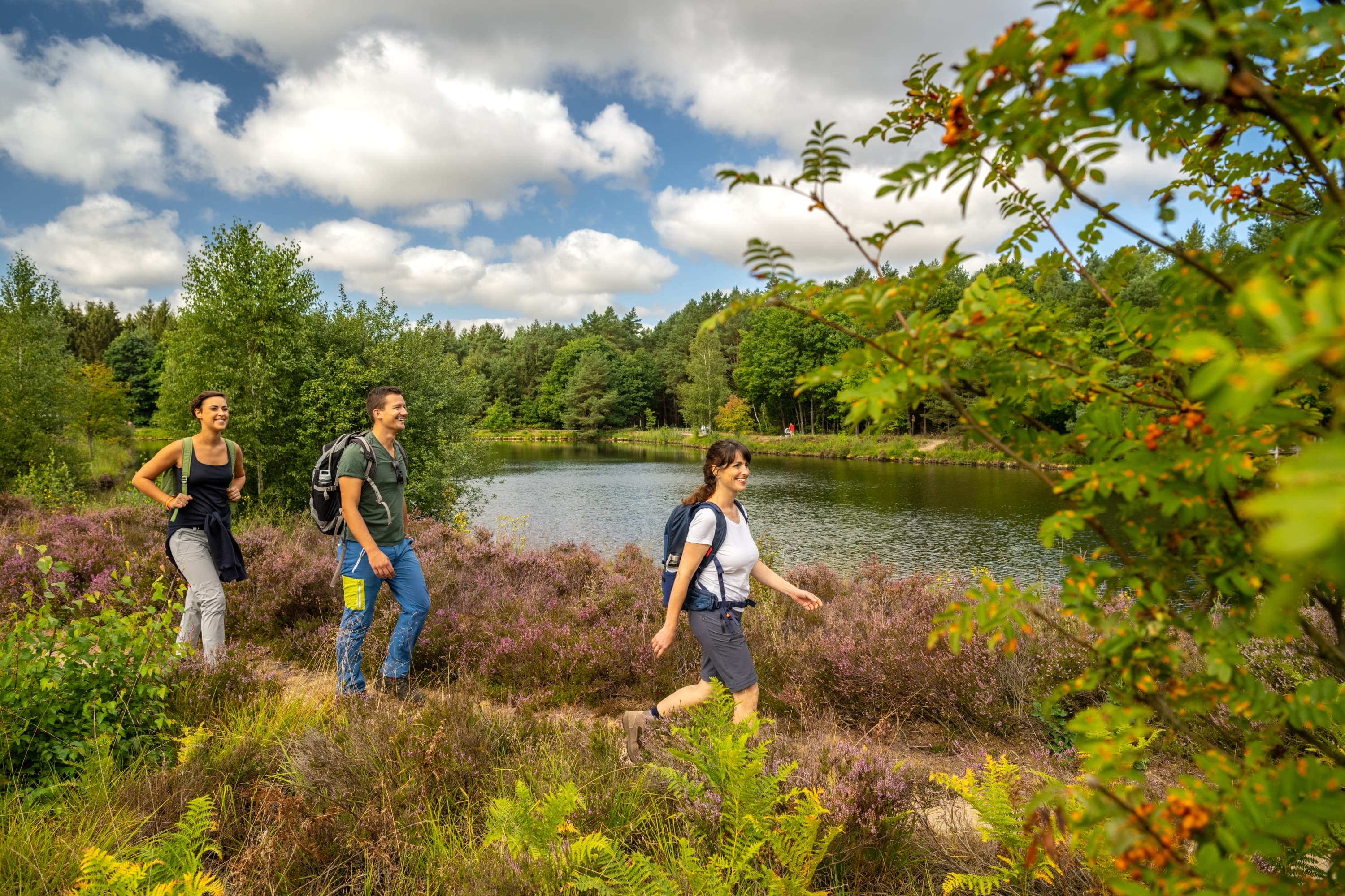 Wandern rund um die Angelbecksteich zur Heideblüte