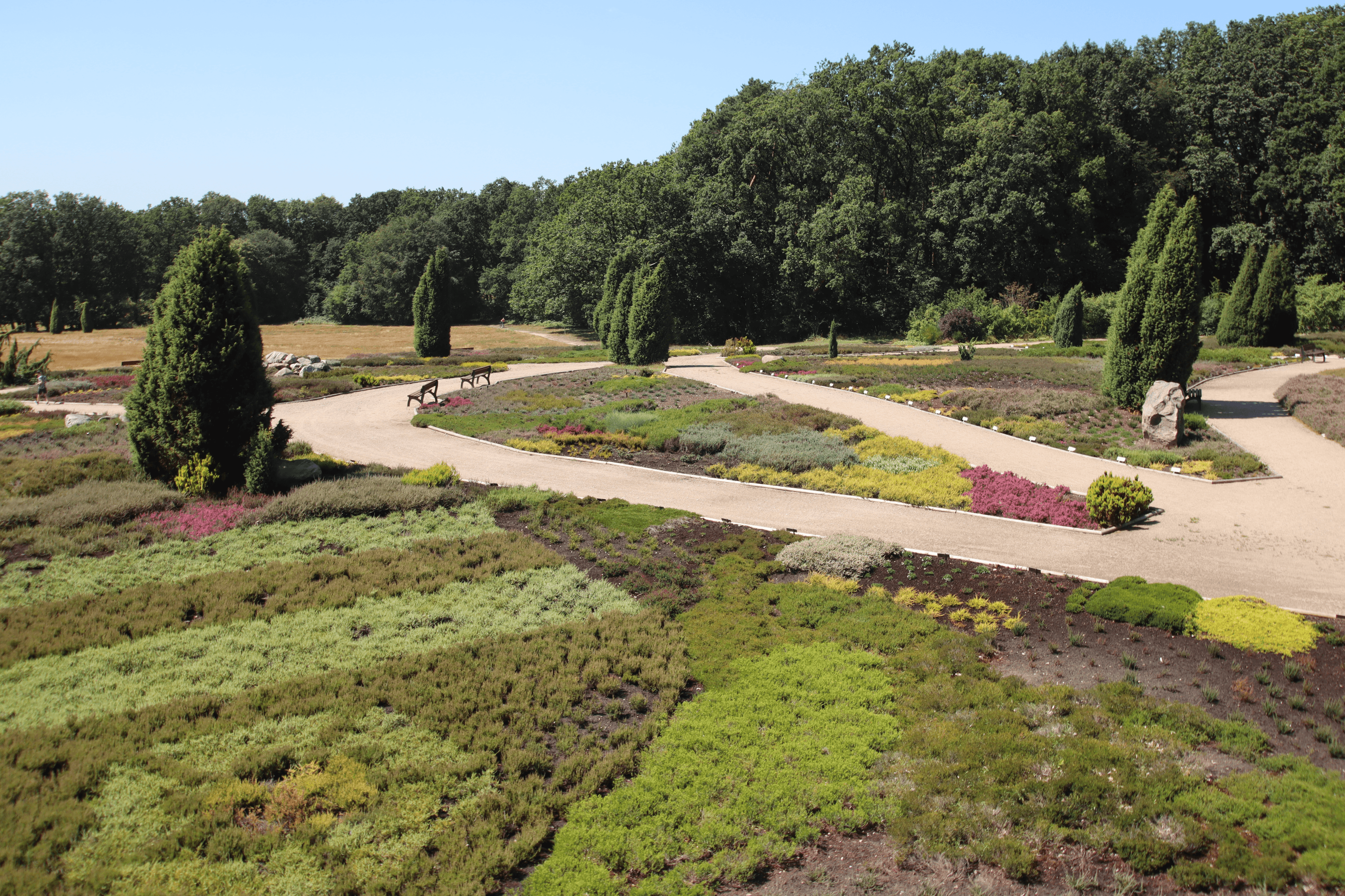 Den Heidegarten Schneverdingen durchziehen Spazierwege