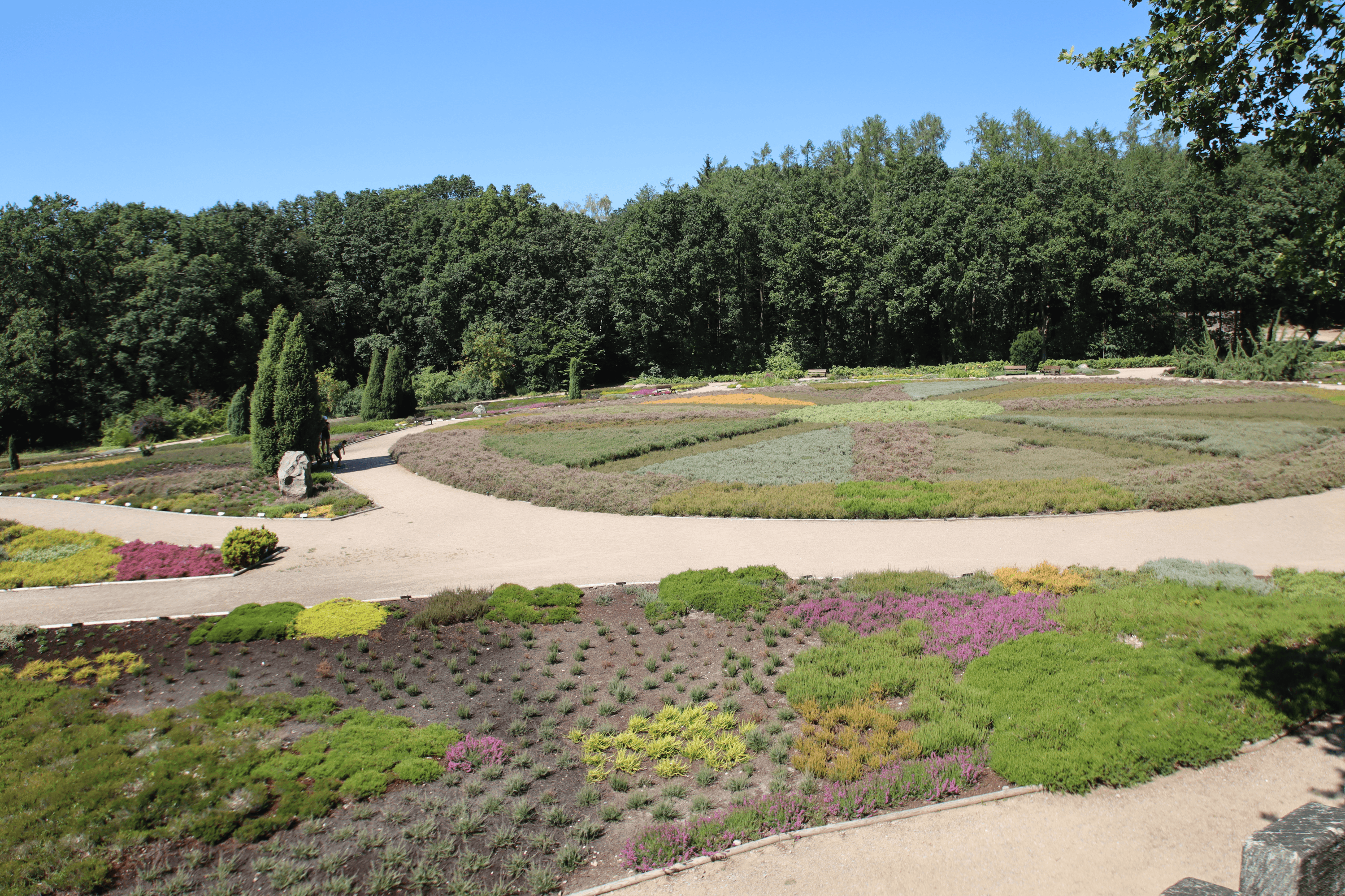 365 Tage blüht eine Sorte im Heidegarten Schneverdingen