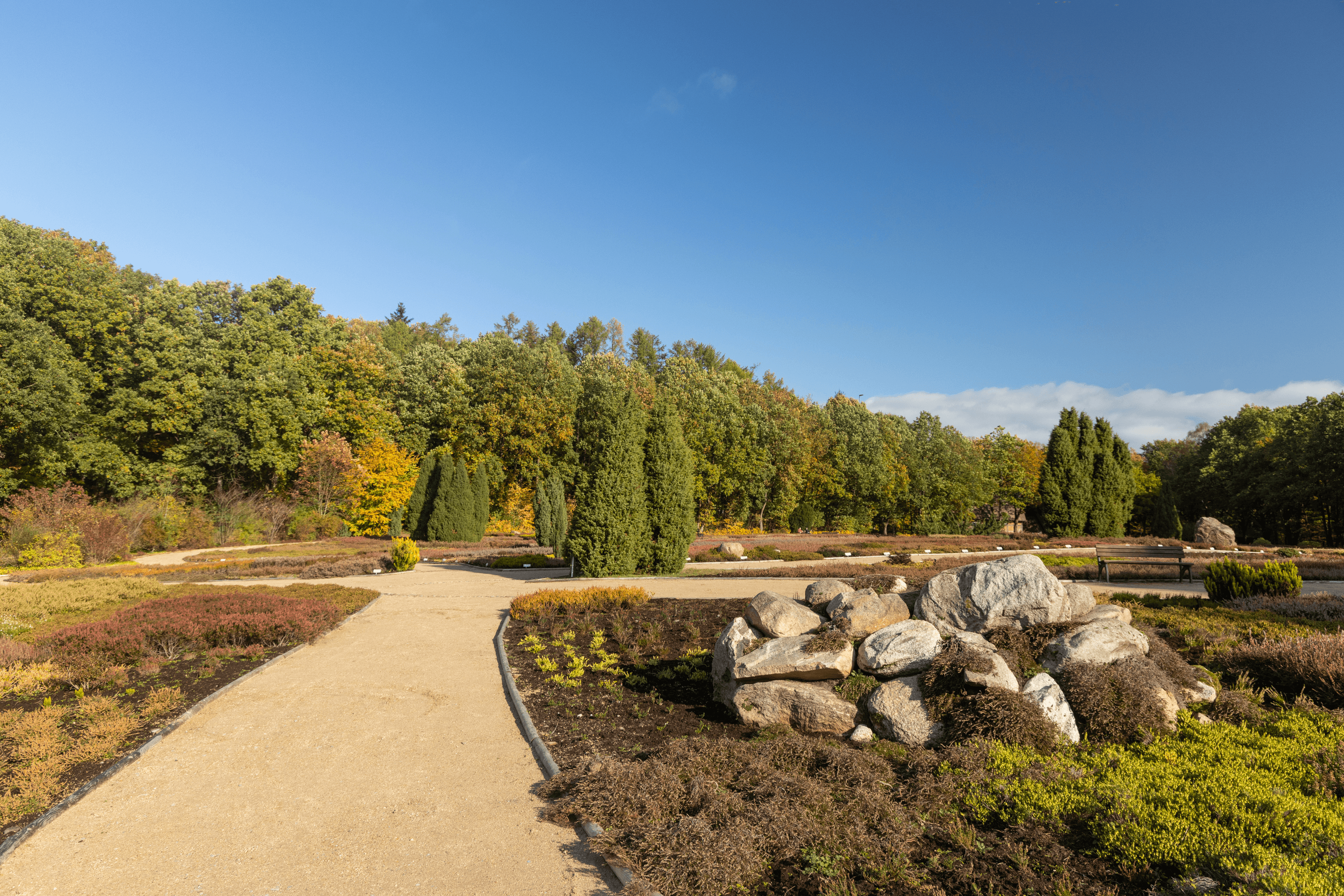 Bunter Heidegarten Schneverdingen im Herbst