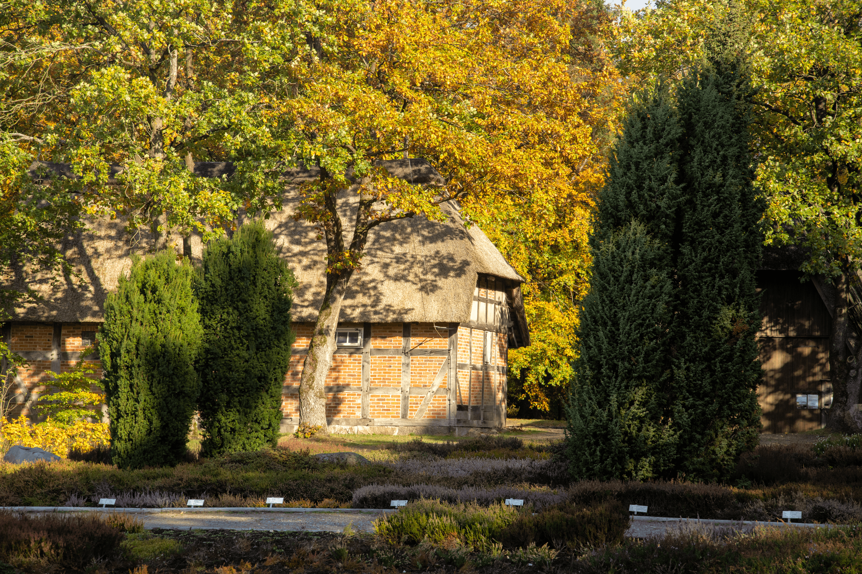 Bunter Heidegarten Schneverdingen im Herbst