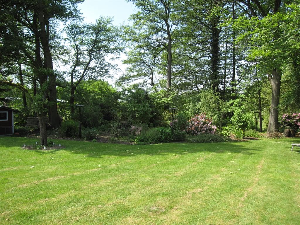 Rasenfläche der Ferienwohnung Eckardt in Bispingen