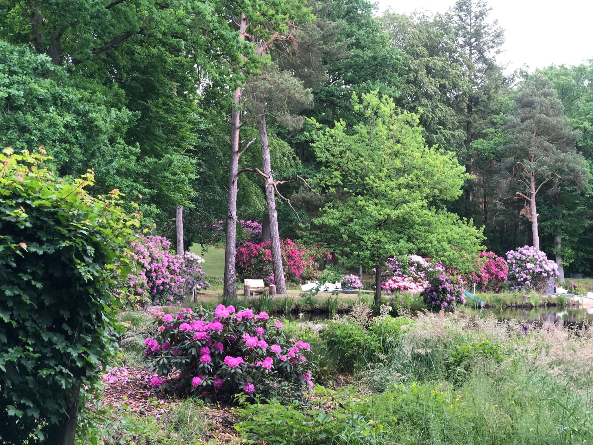 Garten des Herrenhaus in Suderburg