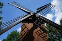 Die Bockwindmühle in Winsen (Aller)