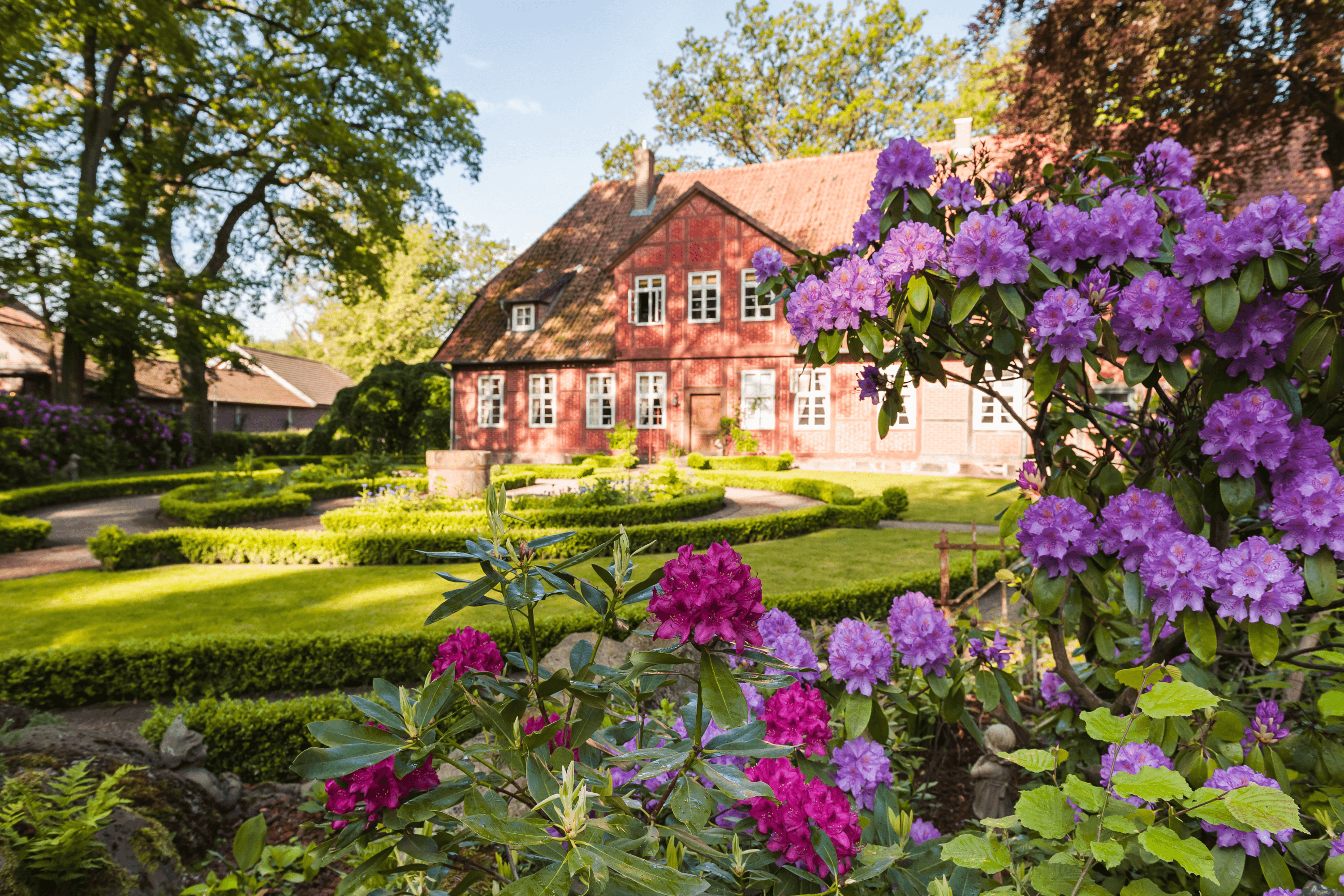 Müden, Müllern Hof mit Rhododendron
