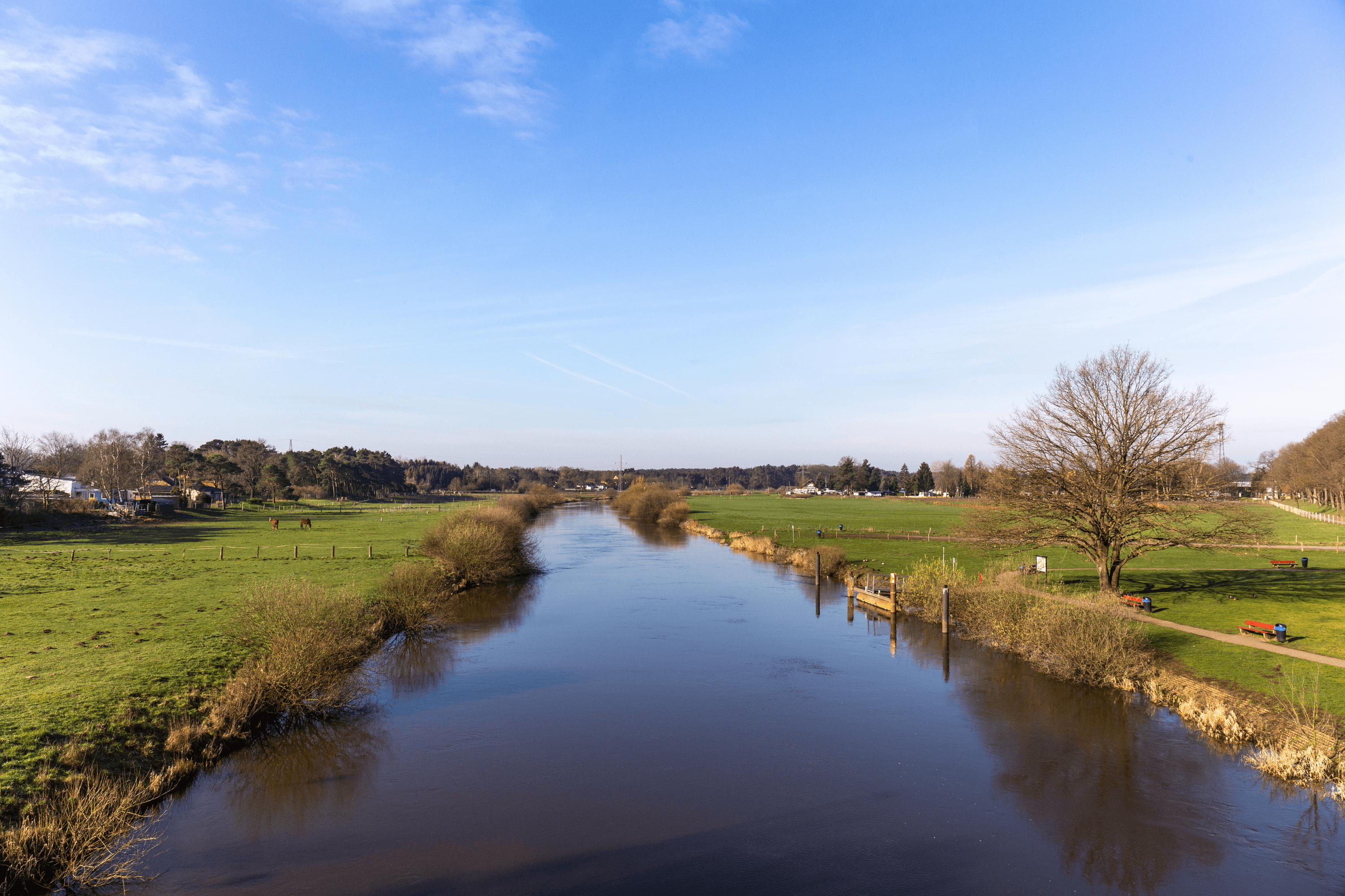 Die Aller bei Winsen