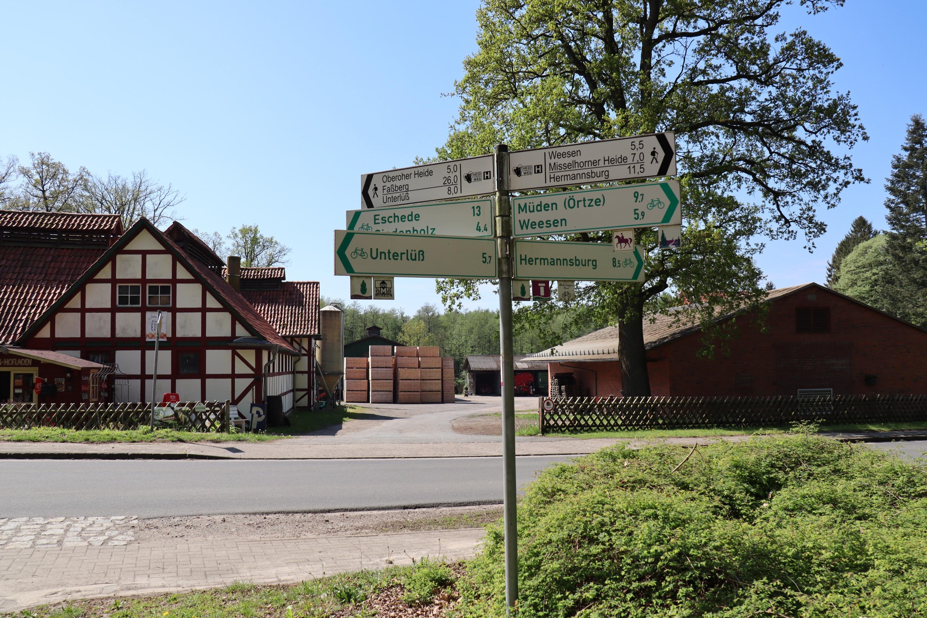 Kreuzung in Lutterloh