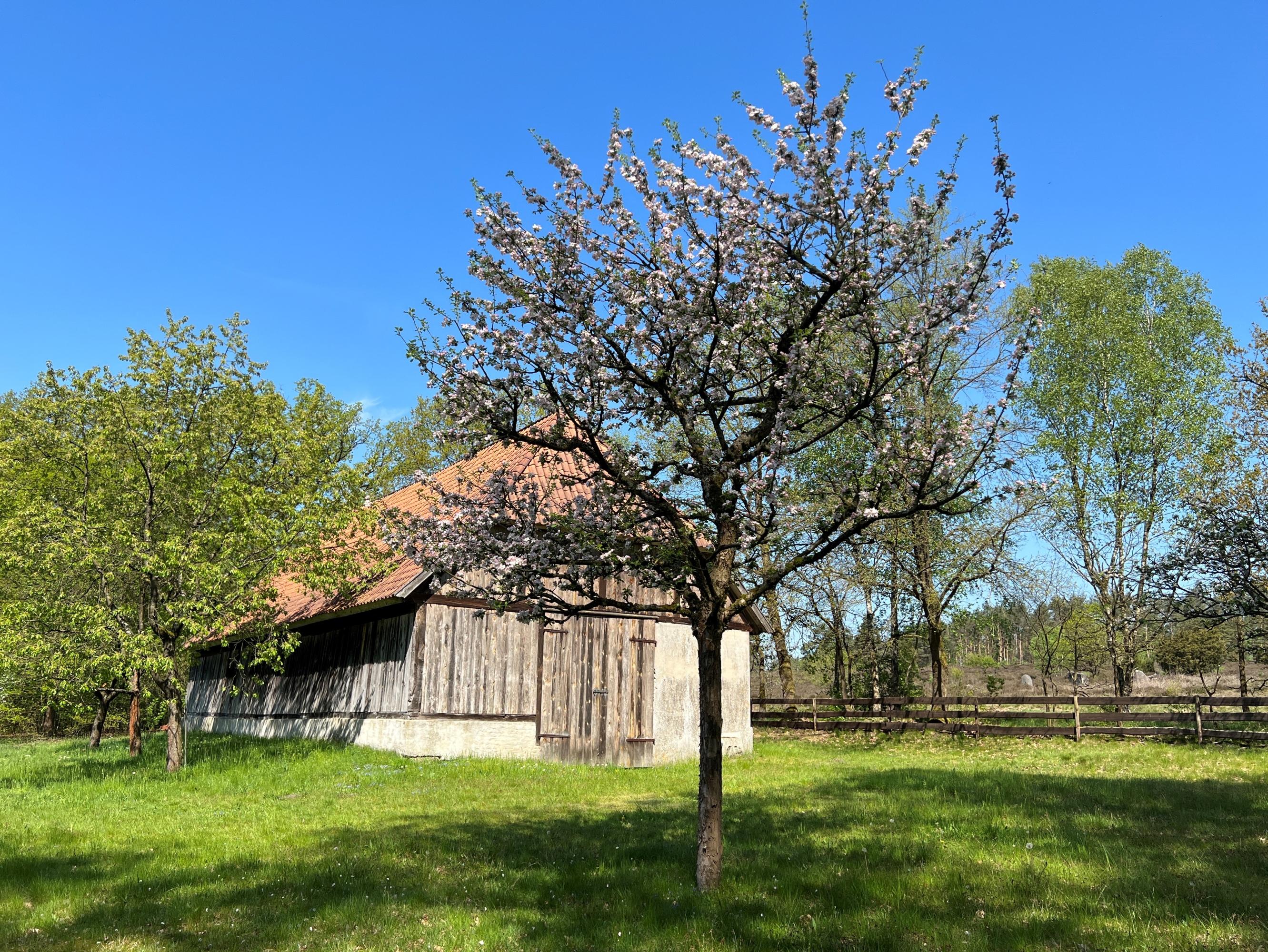 Frühling in Lutterloh
