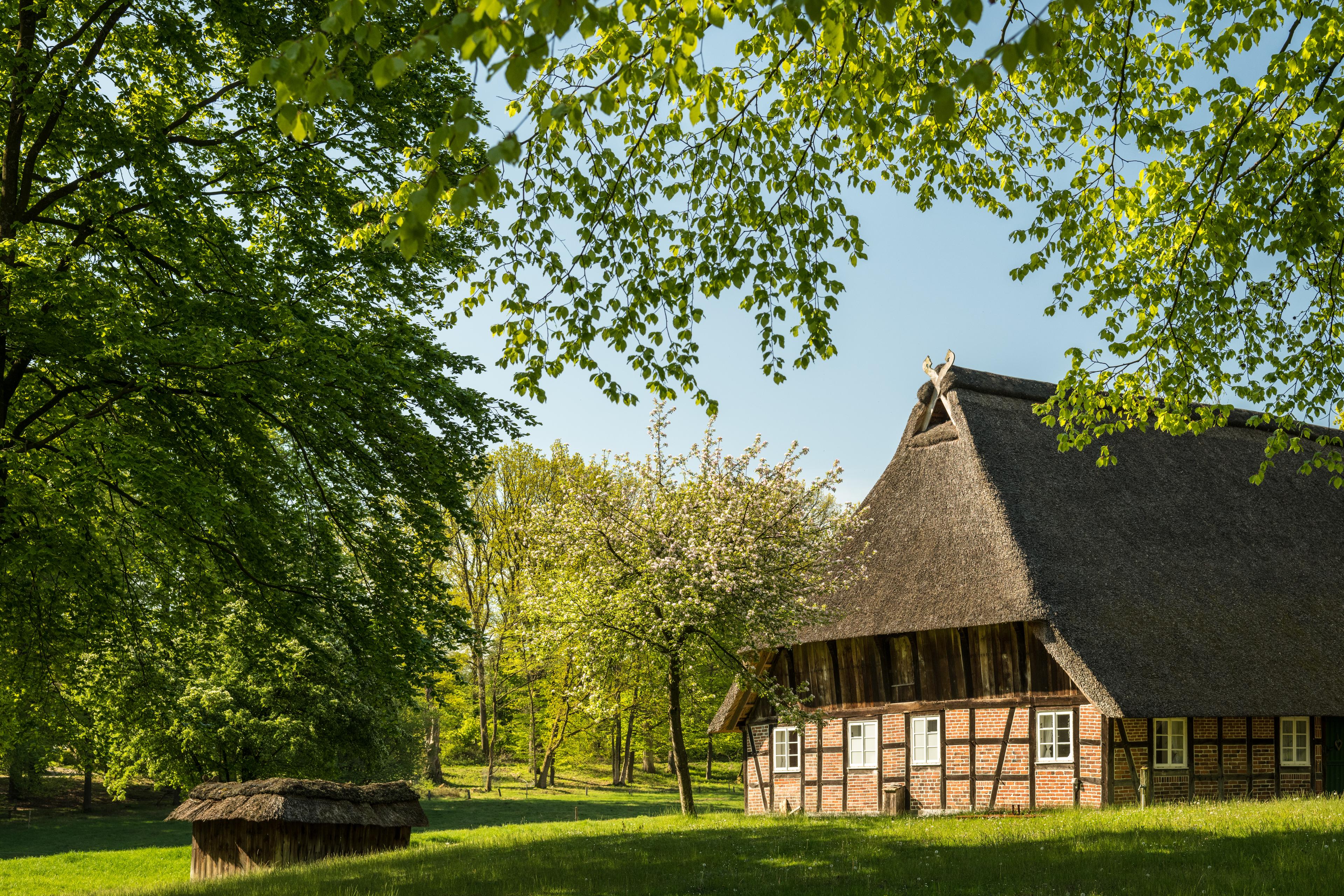 Wilsede liegt im autofreien Naturschutzgebiet Lüneburger Heide