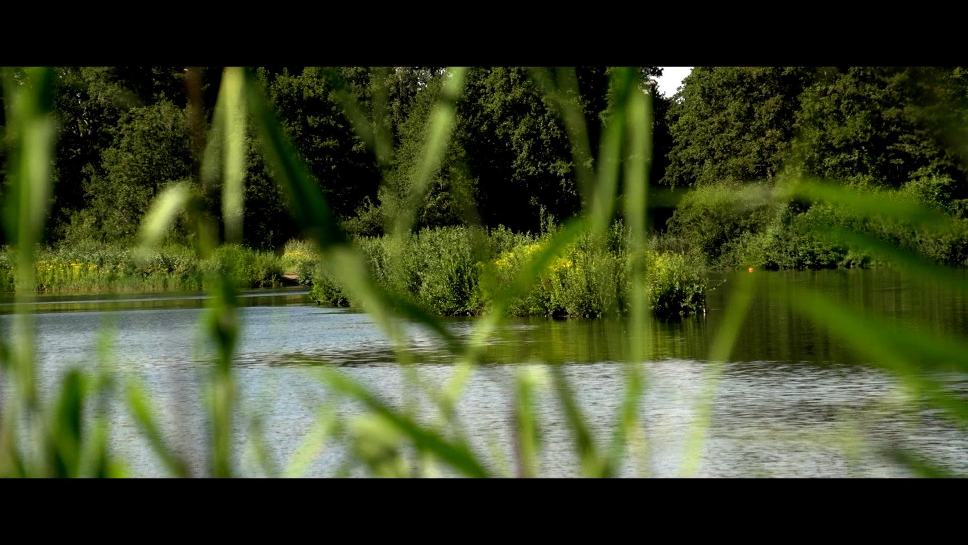 Bildausschnitt aus dem Film "Erinner Dich!" an den Meißendorfer Teichen