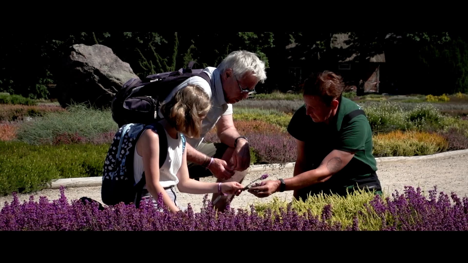 Amalia im Heidegarten schneverdingen