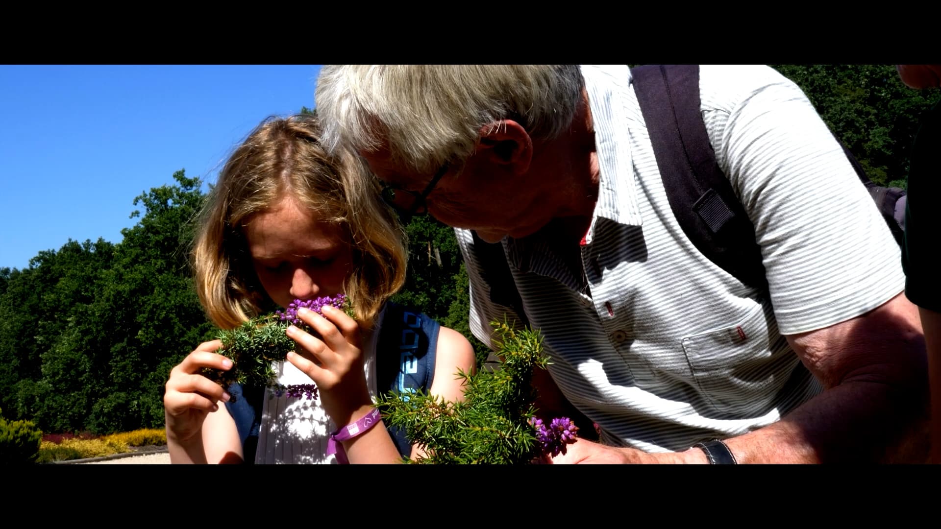 Besuch des Heidegartens Schneverdingen