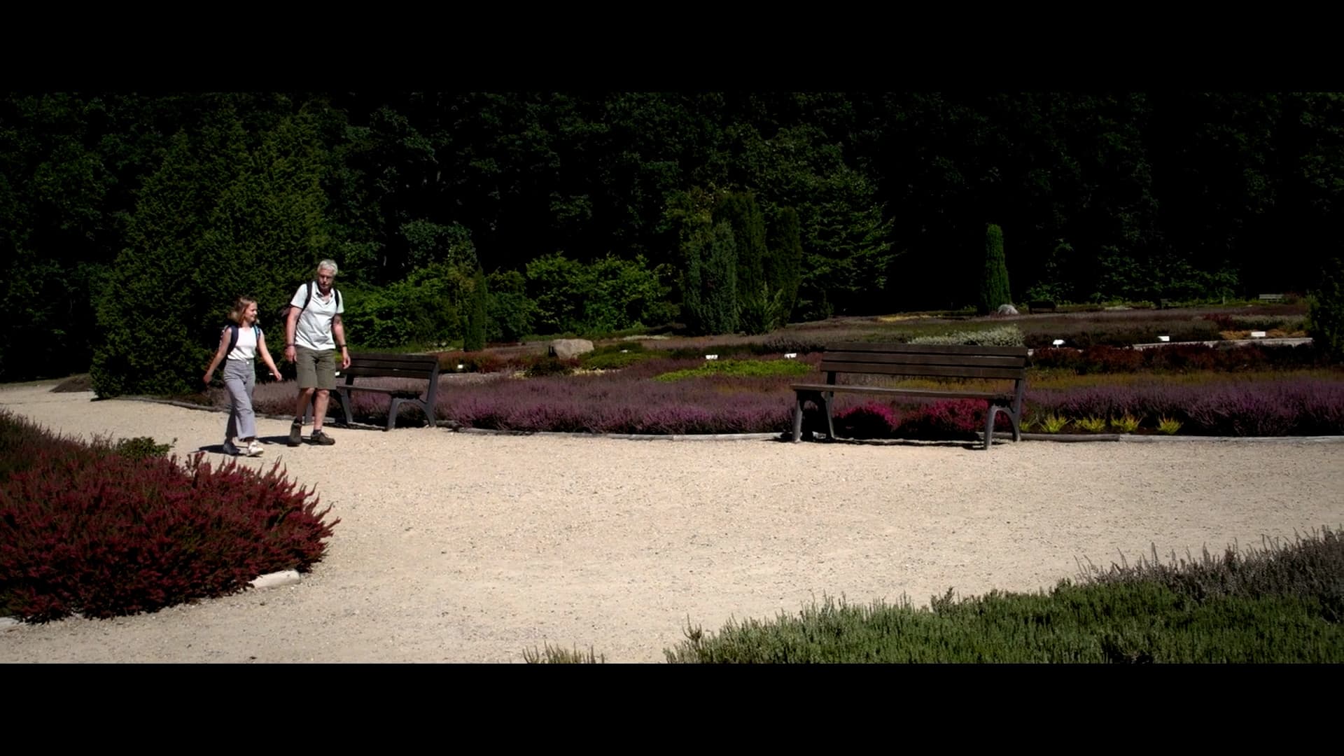 Spaziergang durch den Heidegarten Schneverdingen