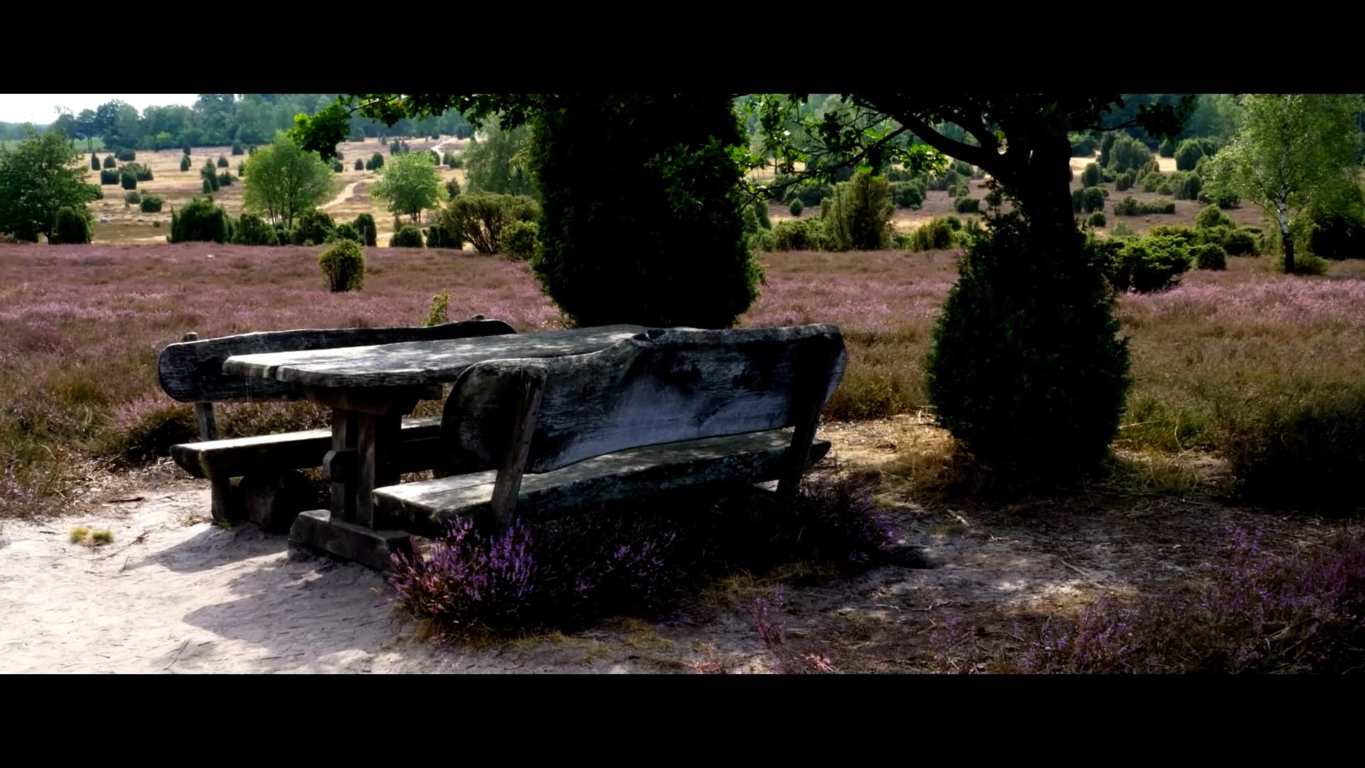Ellerndorfer Wacholderheide, Eimke, Heide, Picknickbank