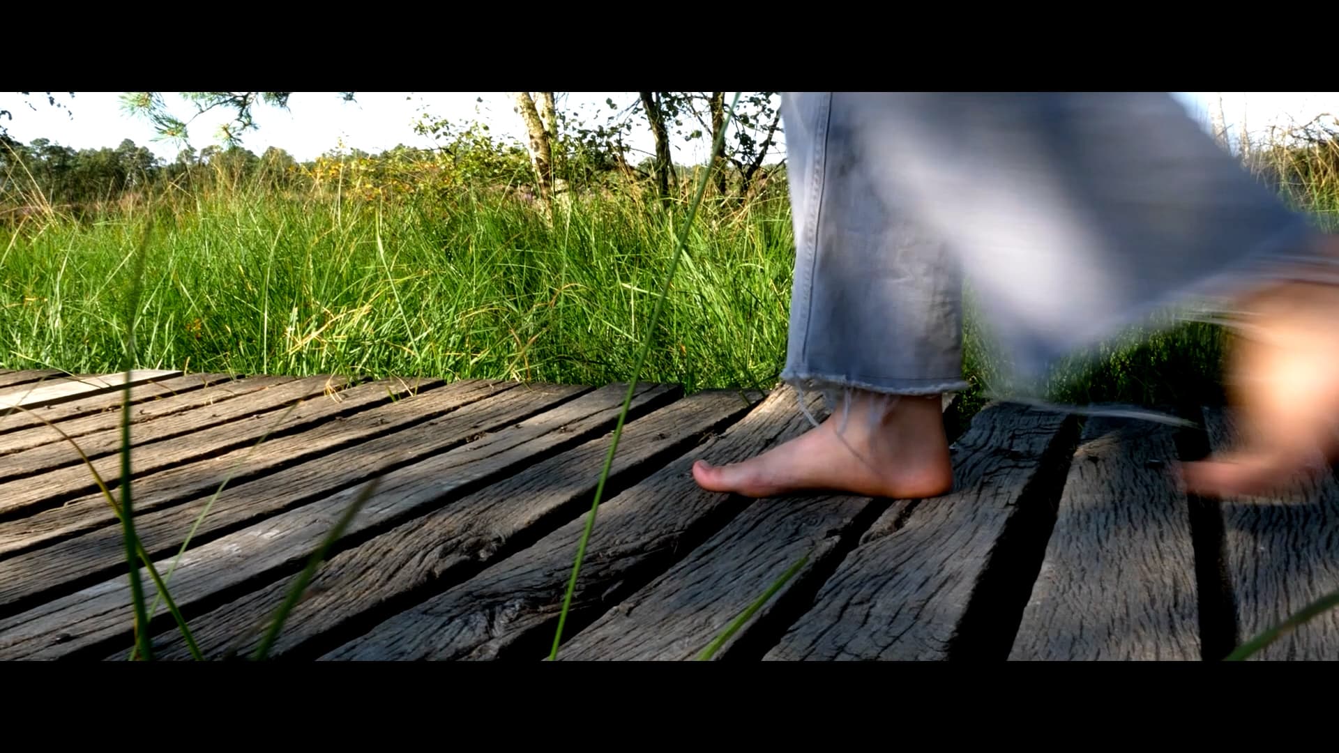 Pietzmoor, Schneverdingen, Moor, Wasser