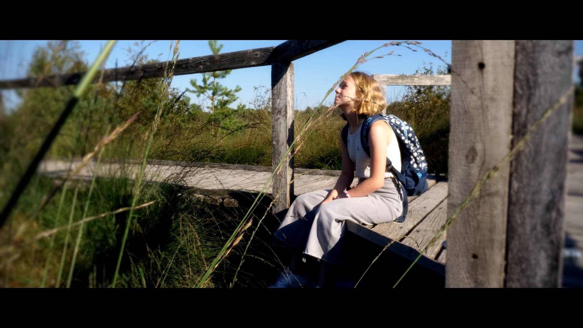 Pietzmoor, Bohlensteg, Moor, Schneverdingen, Amalia, Wasser