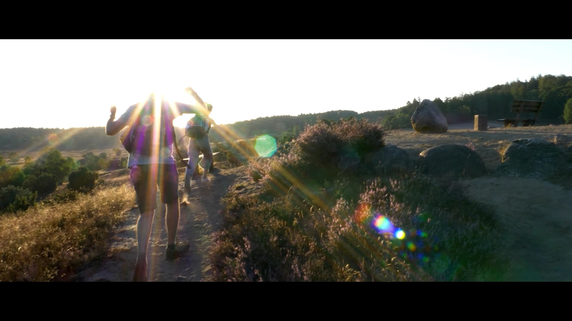 Turmberg, Bank, Heide, Amalia, Sehnsucht