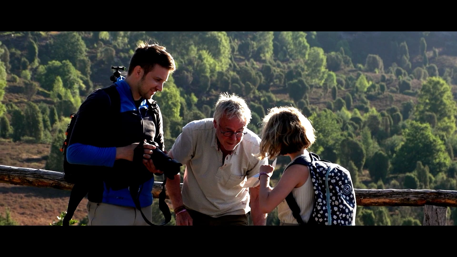 Totengrund, Heidetal, Heide, Lüneburger Heide