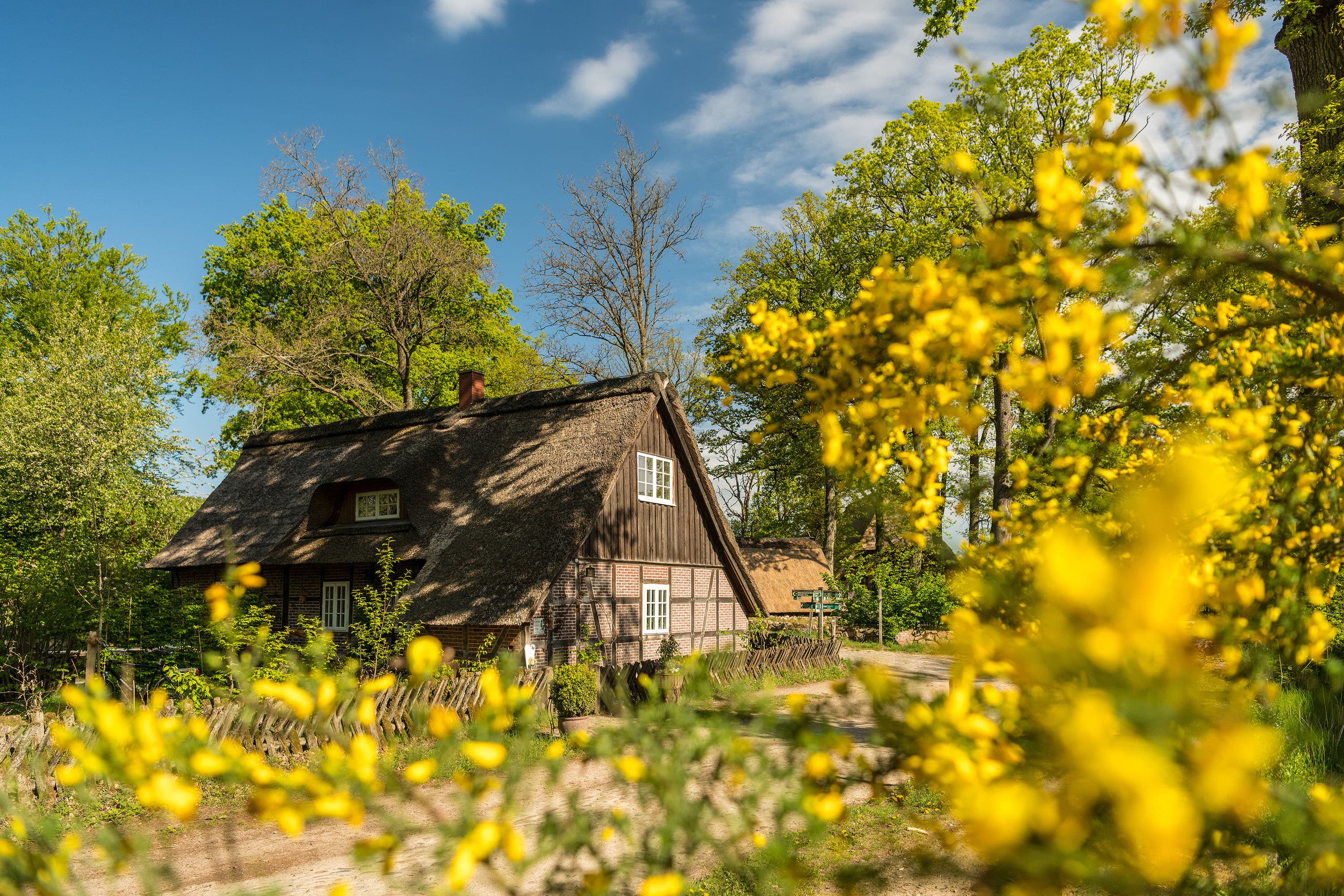Wilsede, der Ort mitten im autofreien Naturschutzgebiet Lüneburger Heide