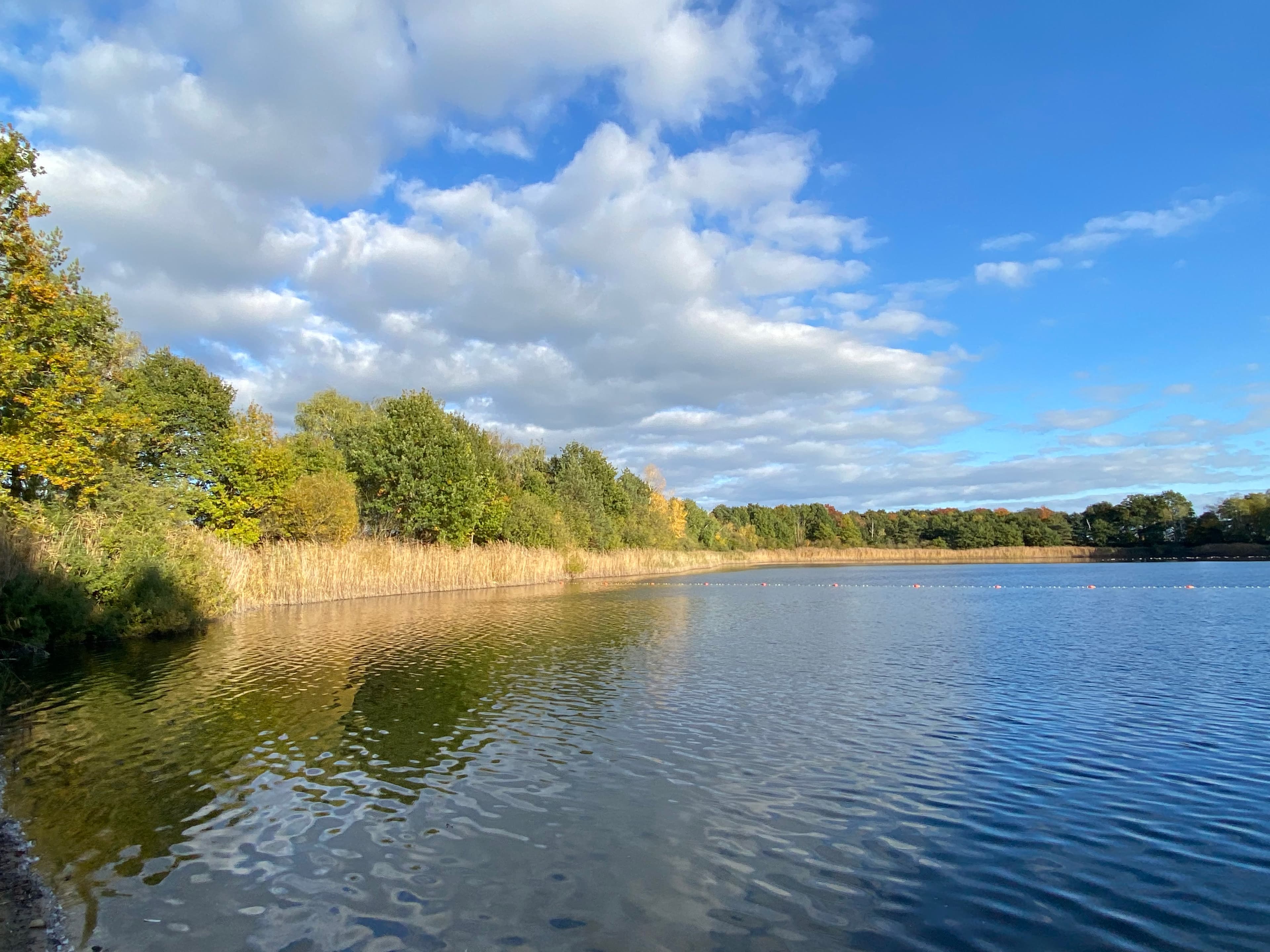 Kiessee Ferienhaus Bothmer Schwarmstedt