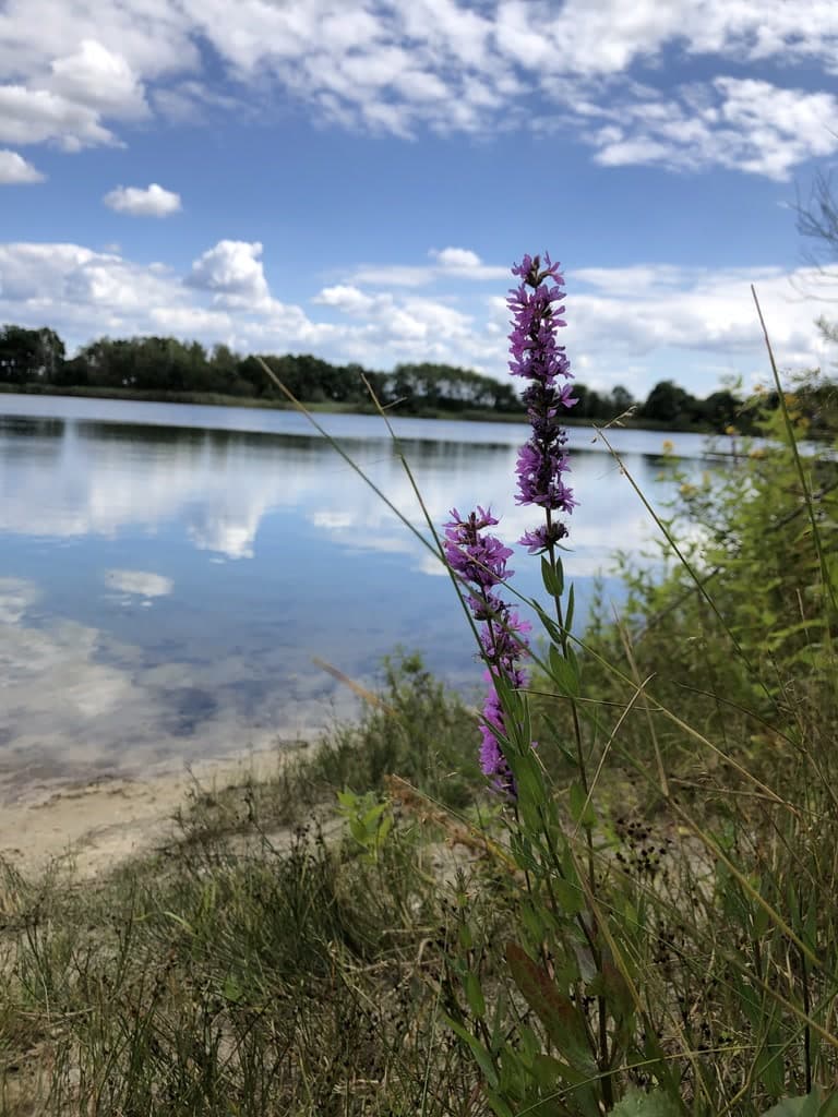 Kiessee Ferienhaus Bothmer Schwarmstedt