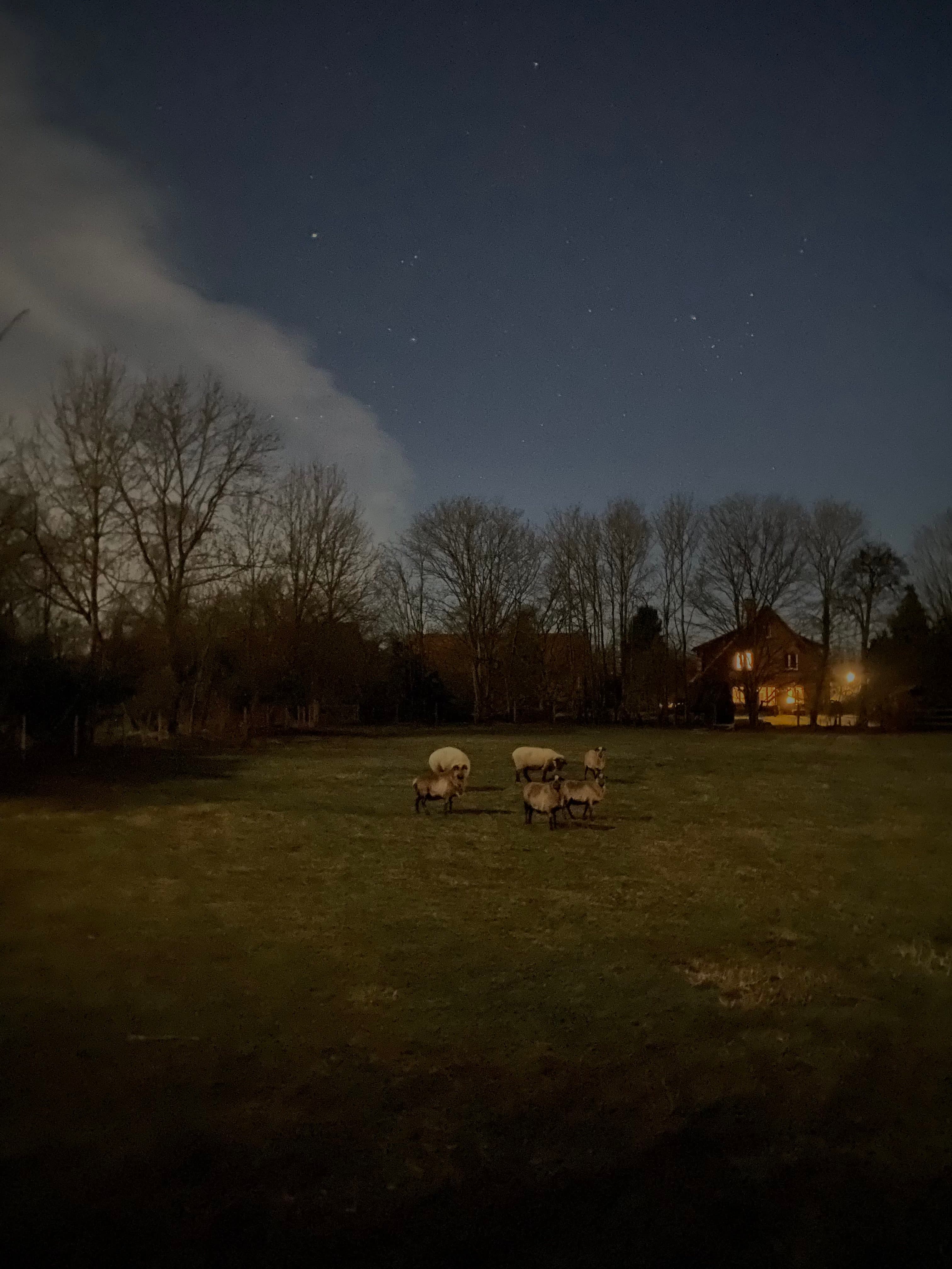 Nacht Ferienhaus Bothmer Schwarmstedt
