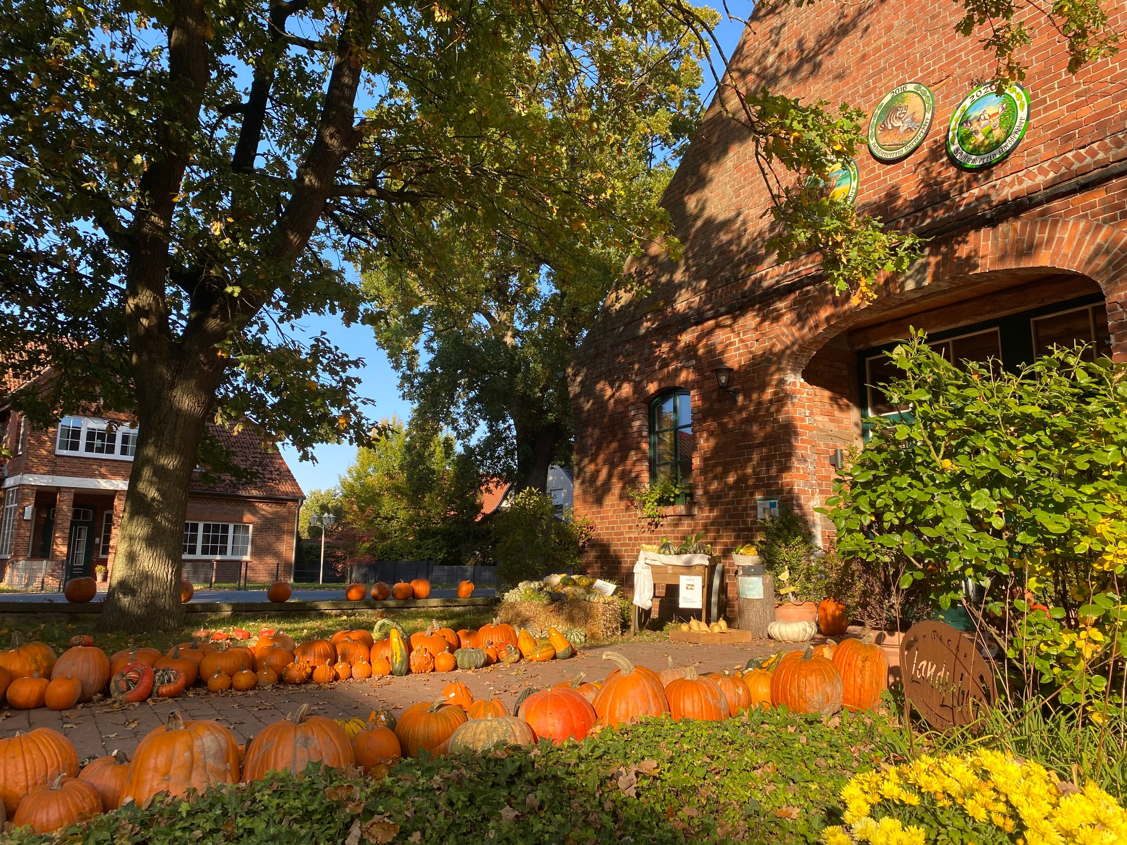 Hofcafé Norddrebber Ferienhaus Bothmer Schwarmstedt
