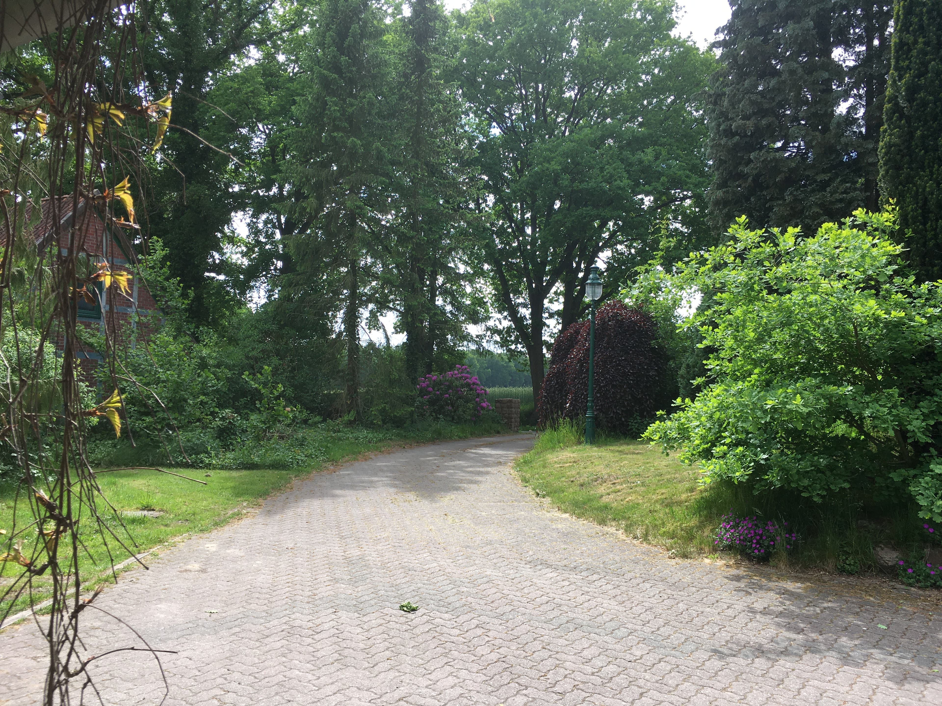 Auffahrt Ferienwohnungen Peter Kröger Jesteburg