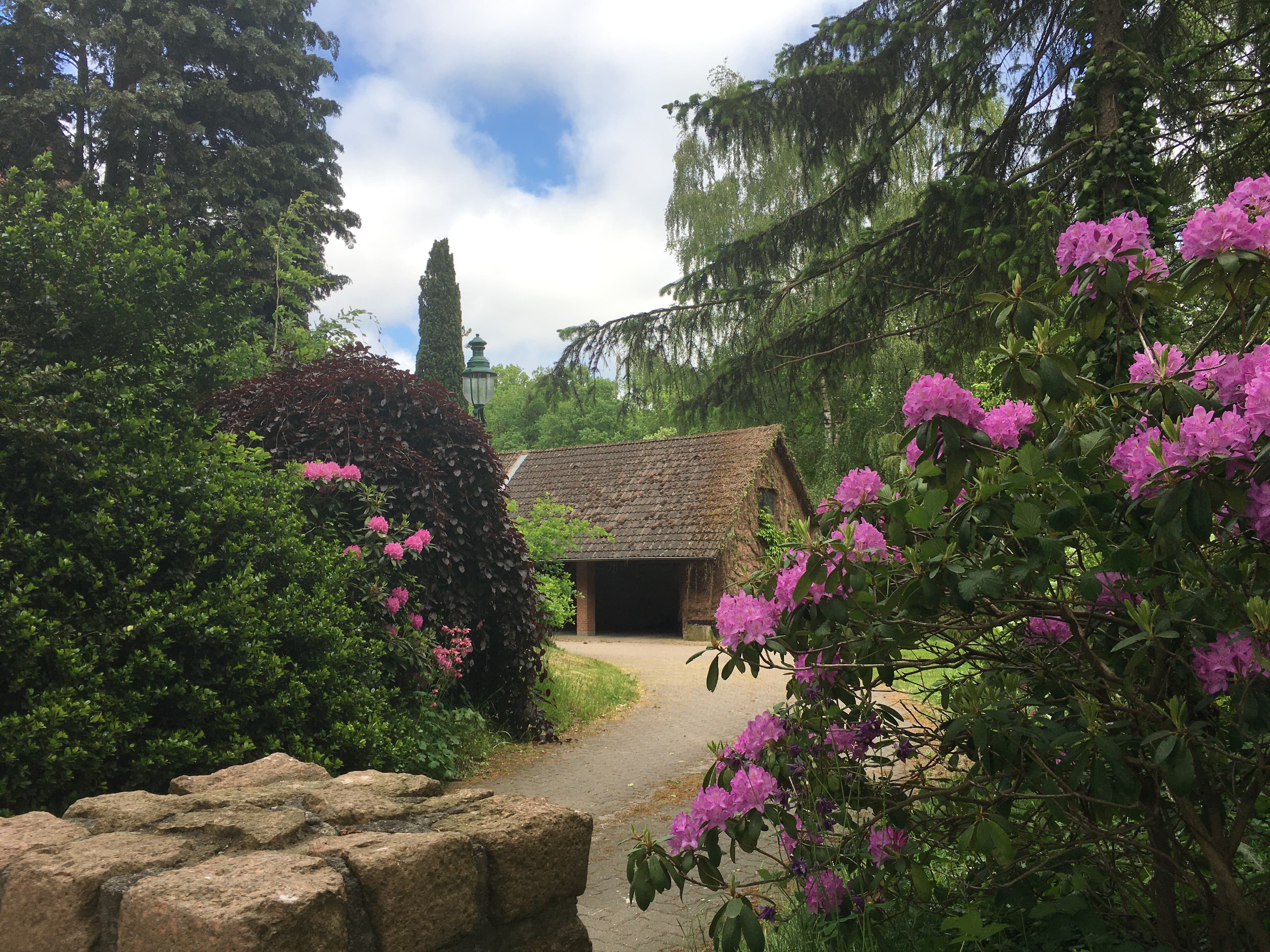 Pflanzen Ferienwohnungen Peter Kröger Jesteburg