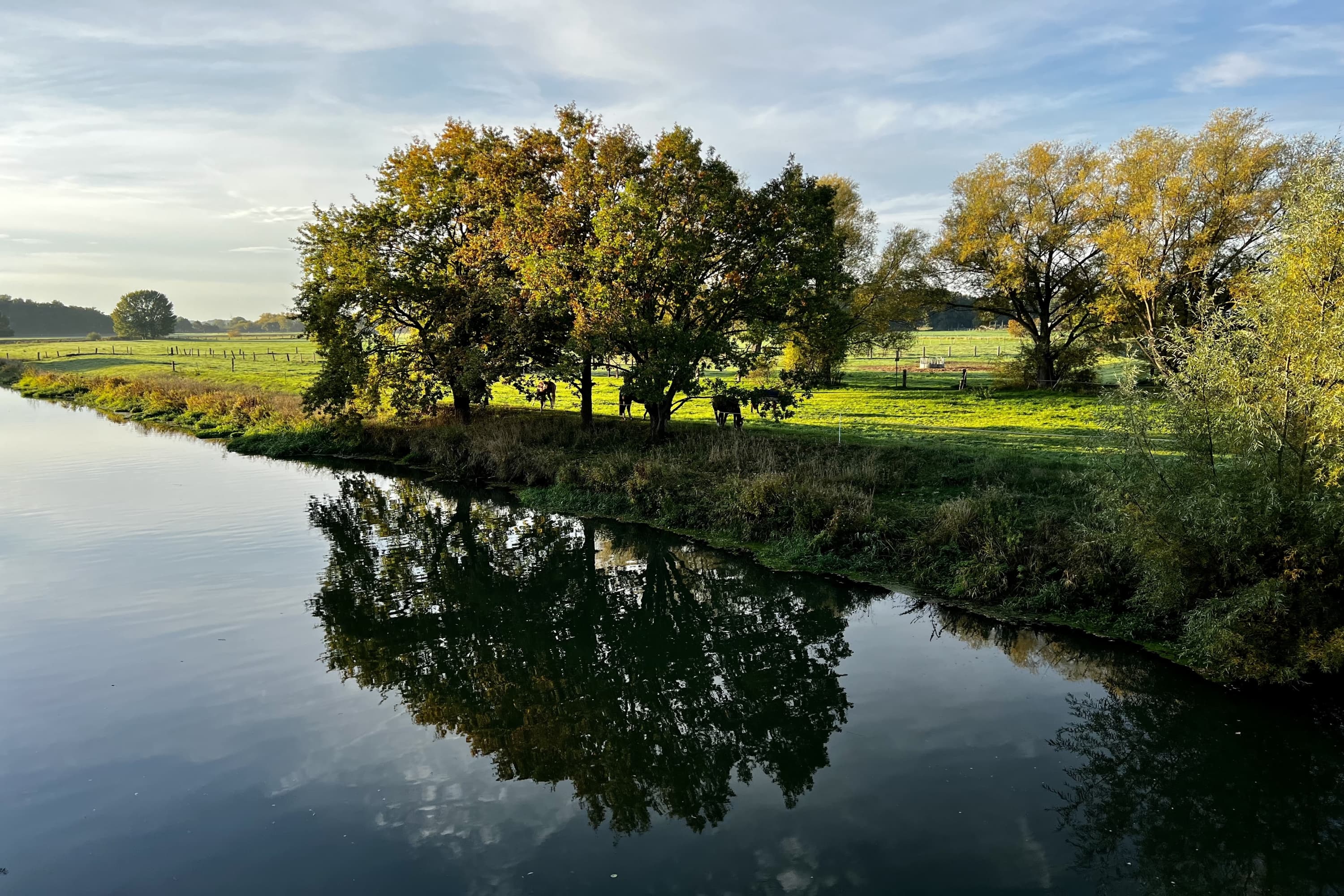 Aller in Altencelle im Herbst Südheide
