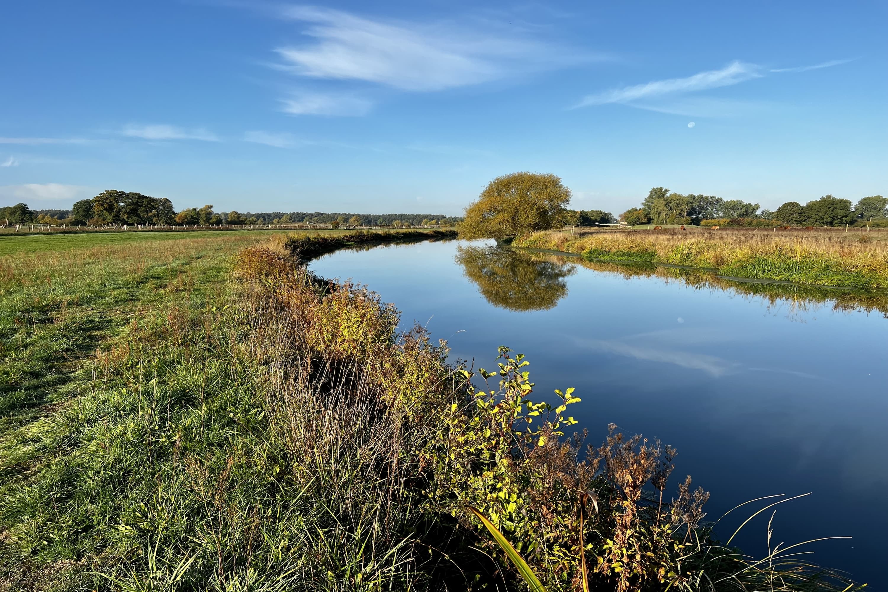 Aller bei Bockelskamp Herbst