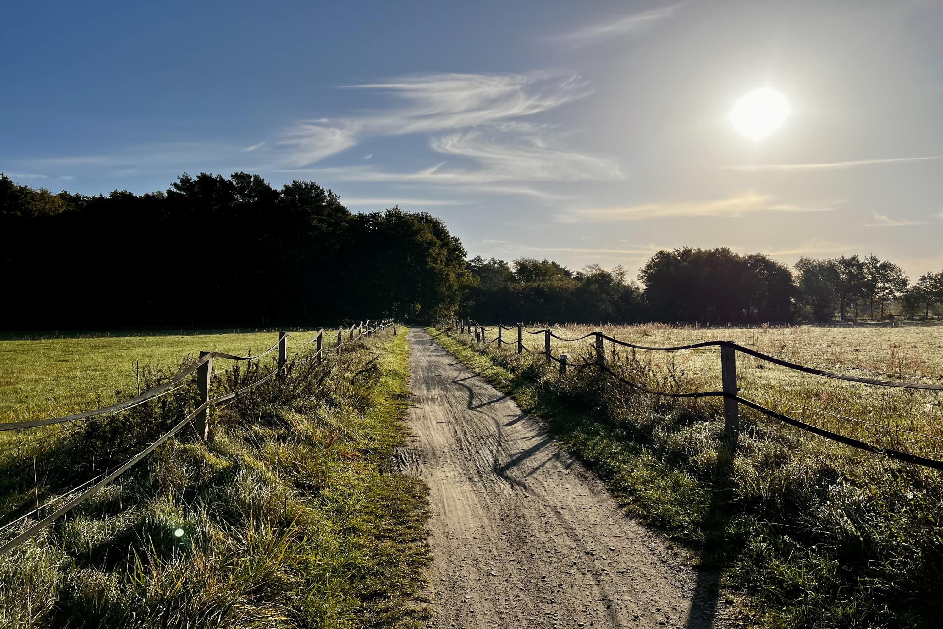 Der Aller-Radweg bei Bockelskamp