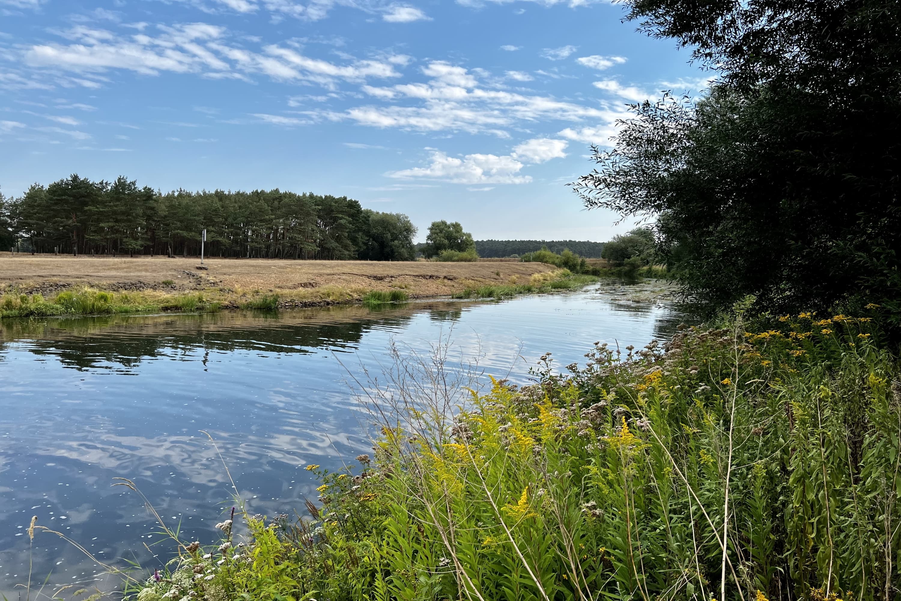 Am Wasserkraftwerk in Oldau bei Hambühren