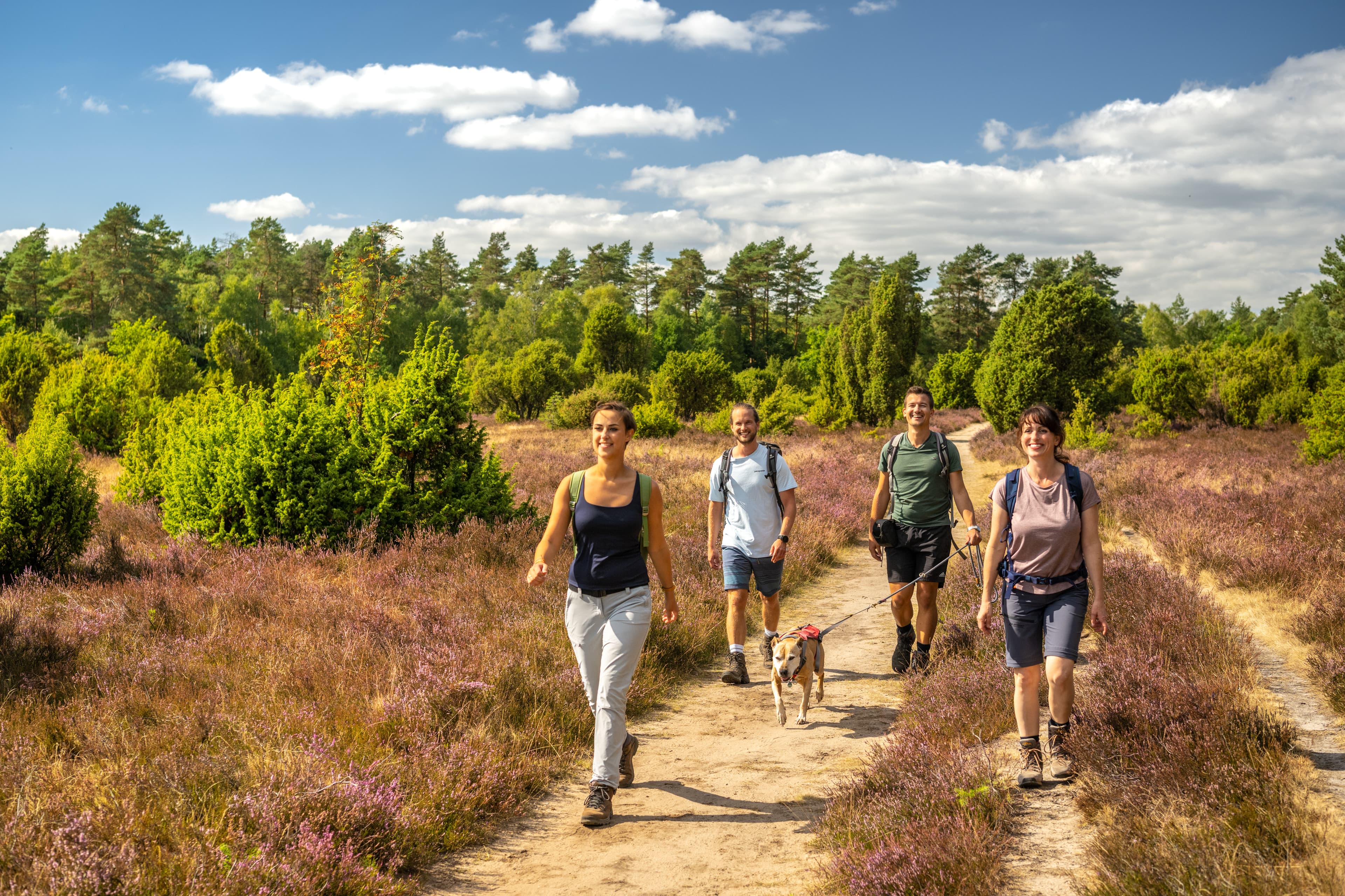 Wandern mit Hund