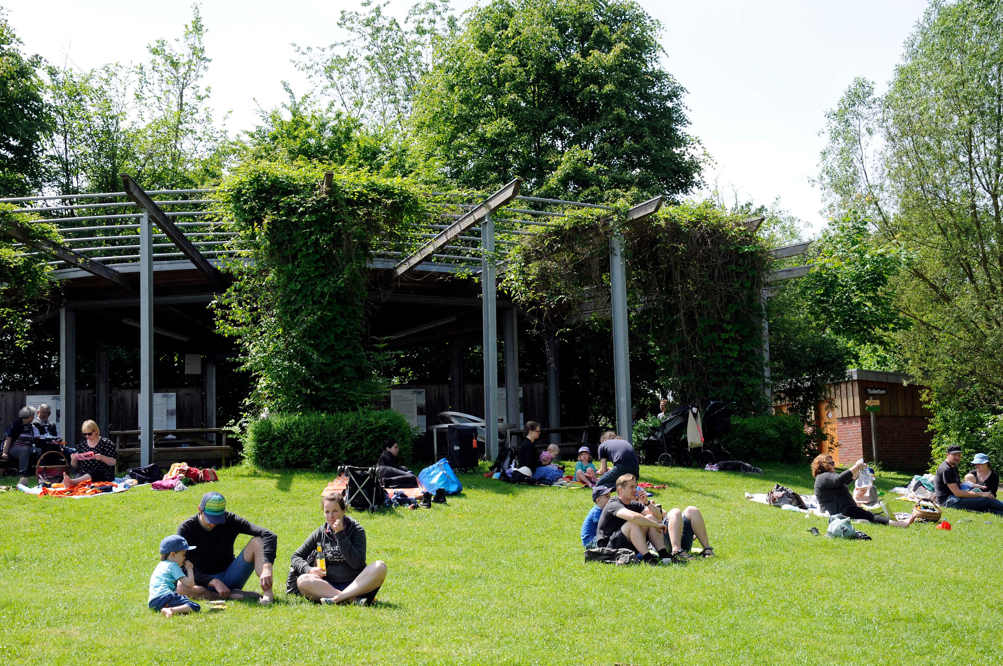 Picknicken am Wasserspielplatz.jpg