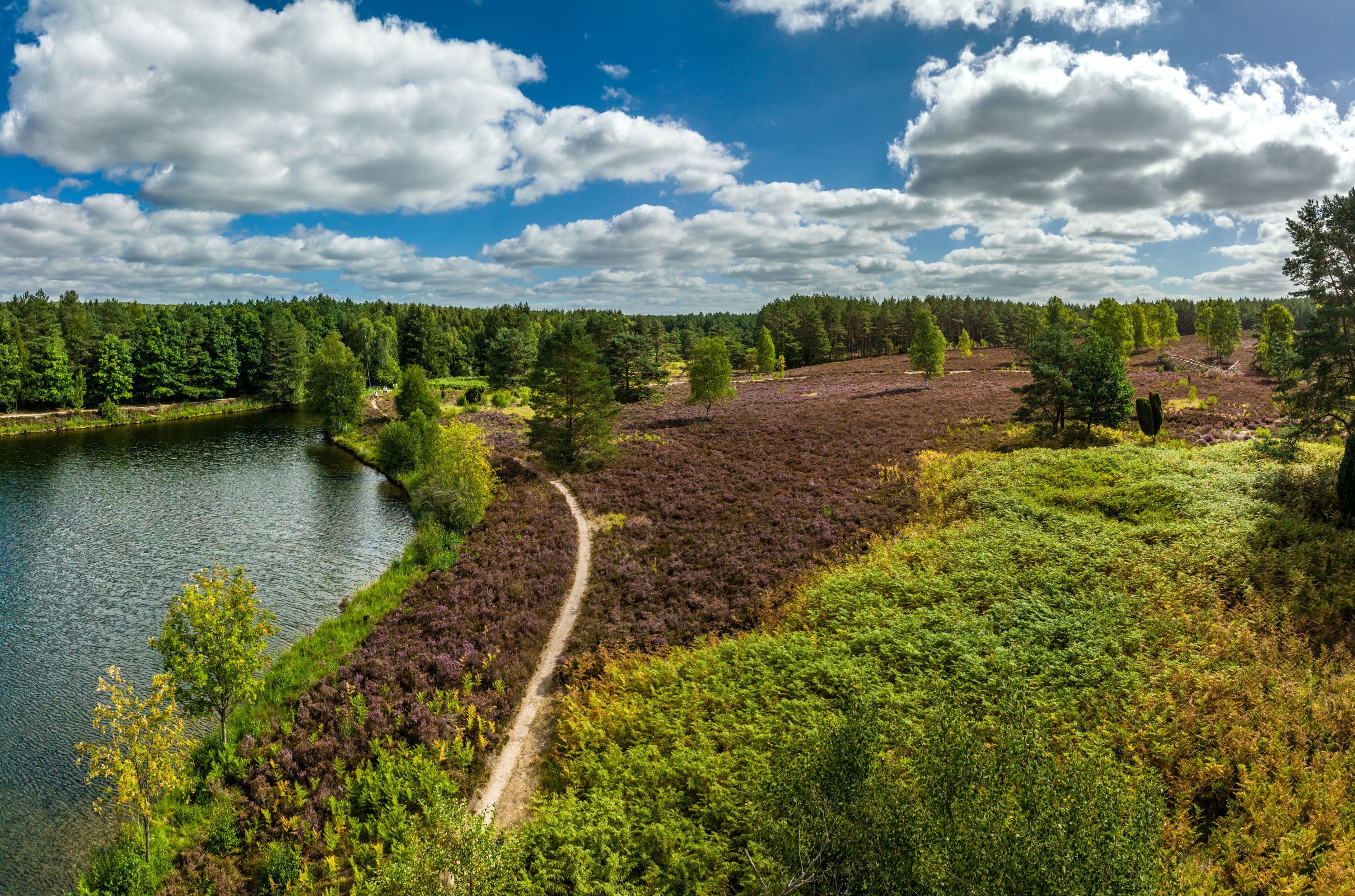 Angelbecksteich bei Hermannsburg