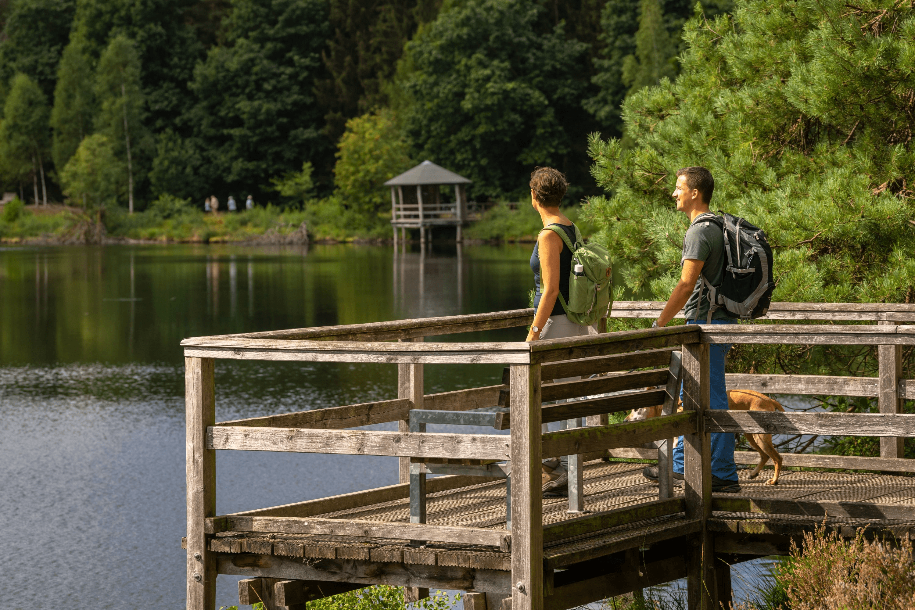 Angelbecksteich bei Hermannsburg