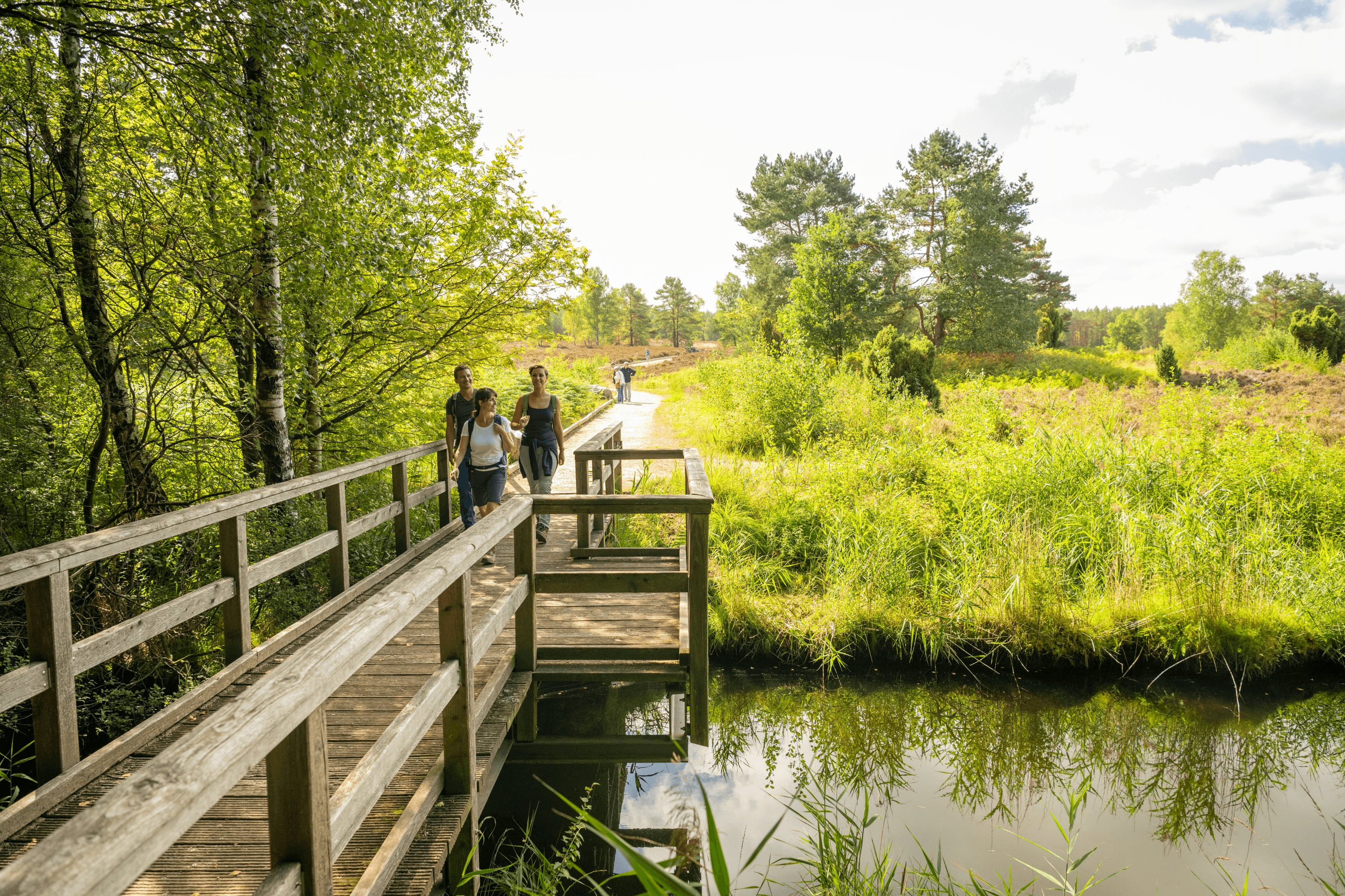 Angelbecksteich bei Hermannsburg