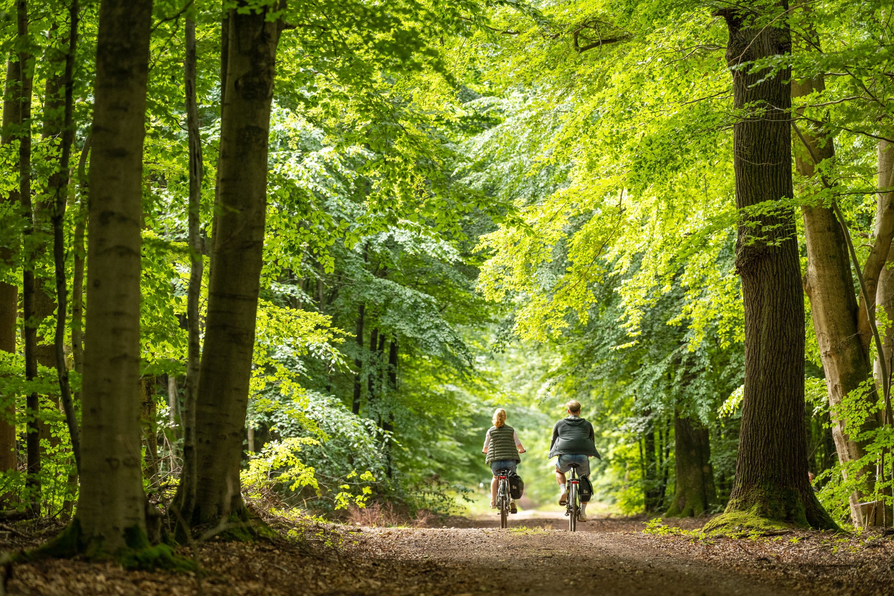 Man kann den Lüsswald gut mit dem Rad entdecken